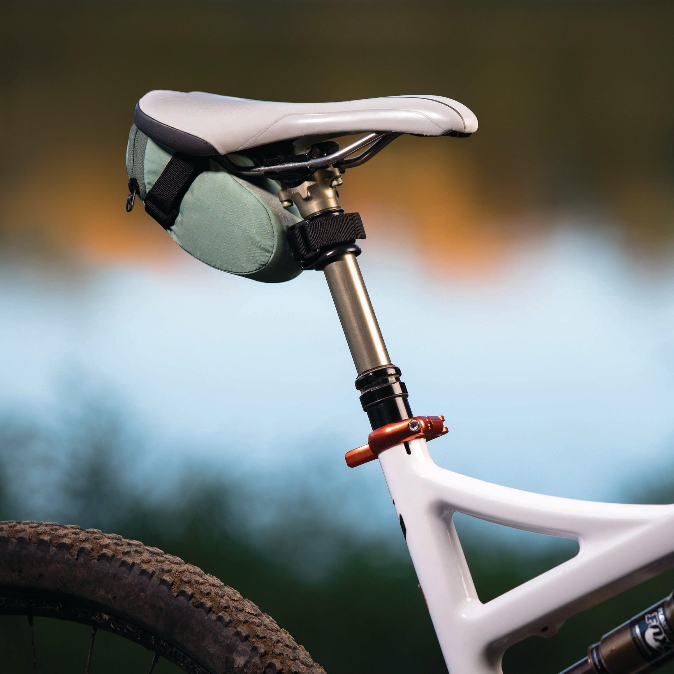 Amazon.com : Wolf Tooth Components Valais Seat Bag Adapter Black