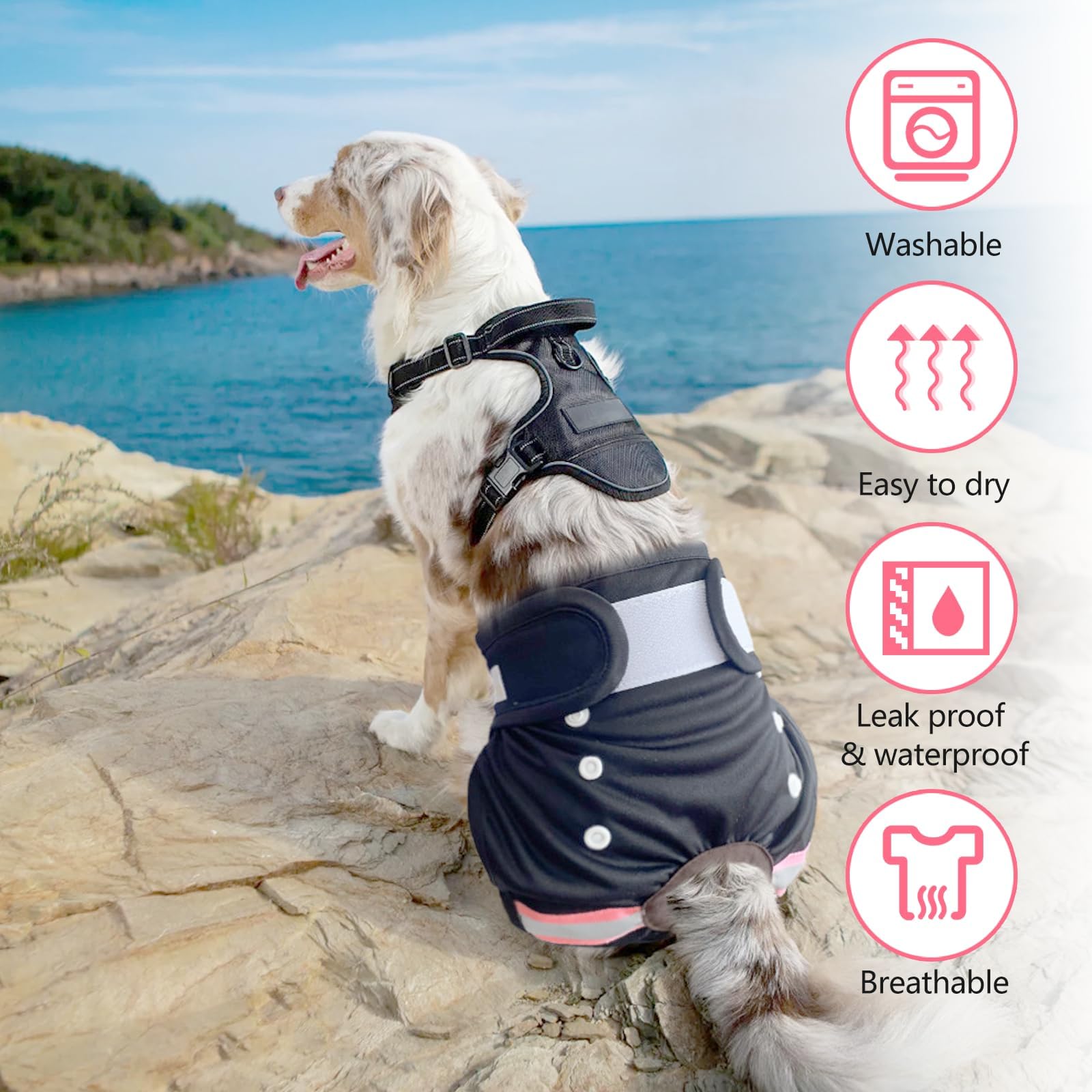 3pcs Couches Chien Lavable Femelle Couches pour Chien incontinente Réutilisables Culotte Hygiénique Chien Femelle Incontinence Culotte Chiennes Chaleurs Lavable Female Dog Diaper L