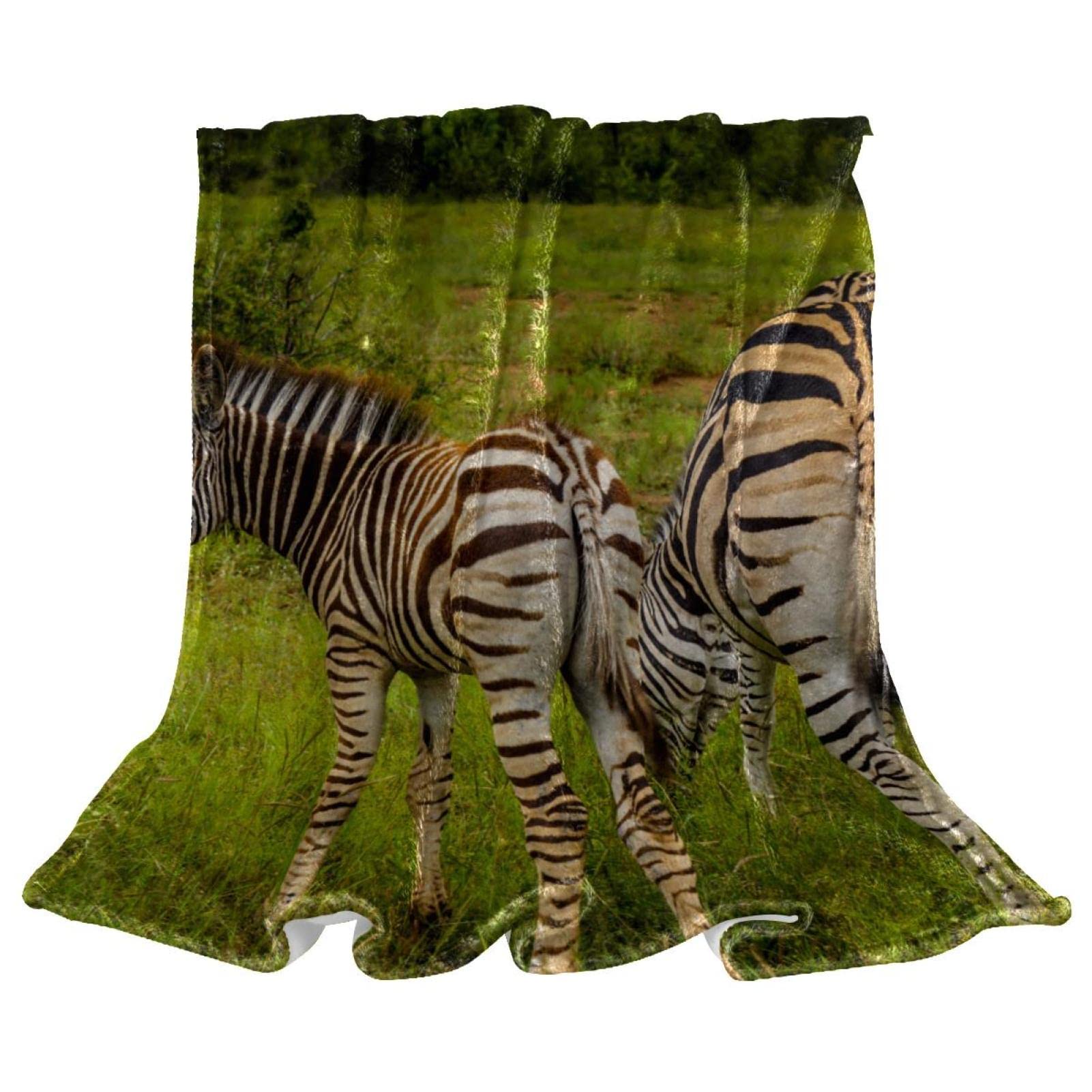 Couverture polaire zèbre haut de gamme en peluche douce pour sofa