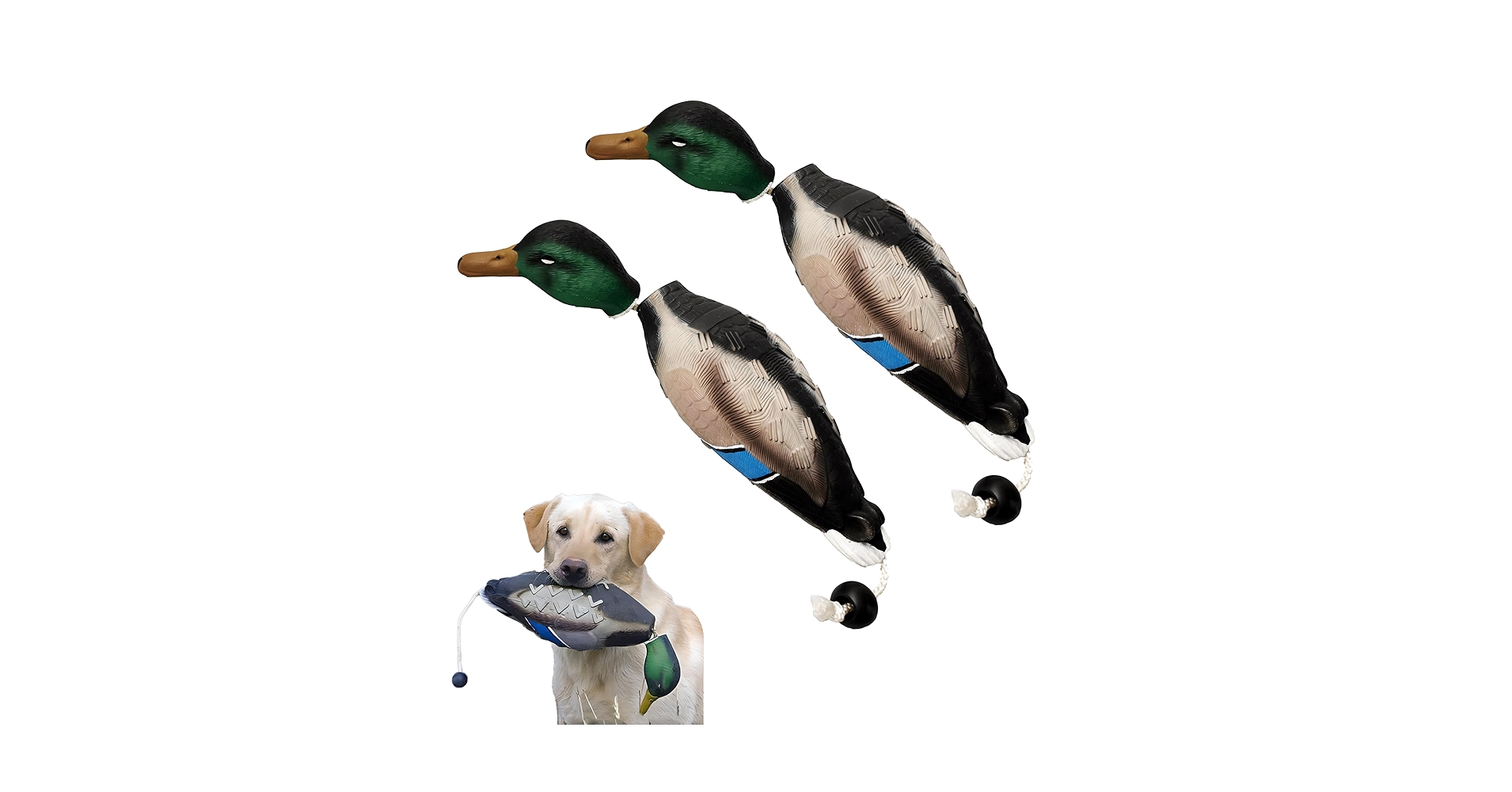 Pet Supplies : Attikee 2 PCS Dead Duck Dummy Bumper For Hunting Dog