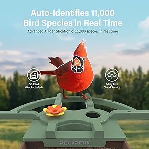 Smart Bird Feeder with Camera Solar Powered Outdoor - 2K HD Live Video, AI Bird ID, Squirrel-Proof, Instant Alerts & IP65 Weatherproof Outside, Great Gift for Familys & Friends