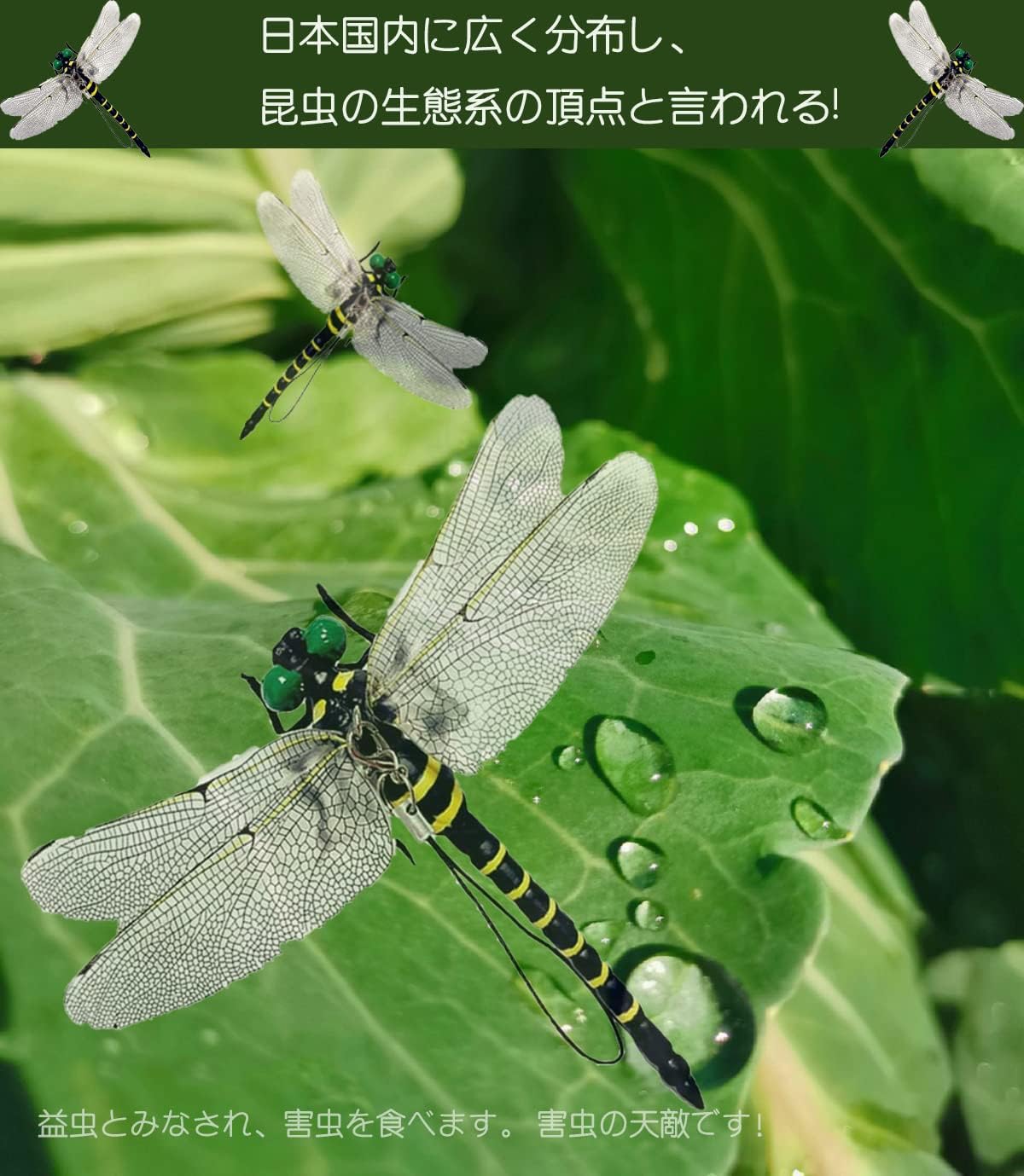 数量は多 オニヤンマ君 おにやんま オニヤンマ 虫除け 家 おもちゃ模型 昆虫 トンボ大きい 12cm 本物サイズ オニヤンマクン おにやんまくん トンボ ストラップ安全ピン付き 本物 搭乗 登山 キャンプ 釣り 衣服 室内装飾など 屋外と屋内の両方で使用できます 3パック Gts