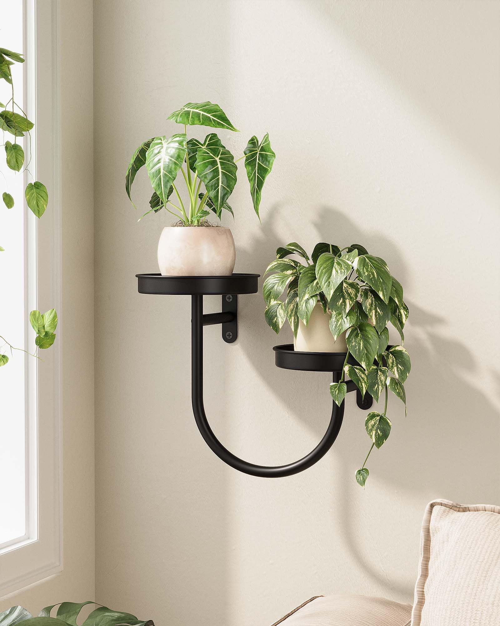 Bamworld Jardinières murales pour plantes d'intérieur Support mural pour