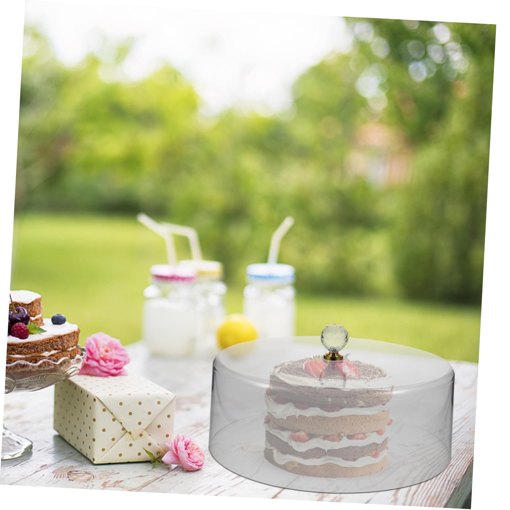 COLLBATH Cubierta de Pastel Acrílica Mango, Cubierta de Alimentos Transparente para Muffins y Galletas, Protector de Postres para Cumpleaños y Tiendas de Pasteles