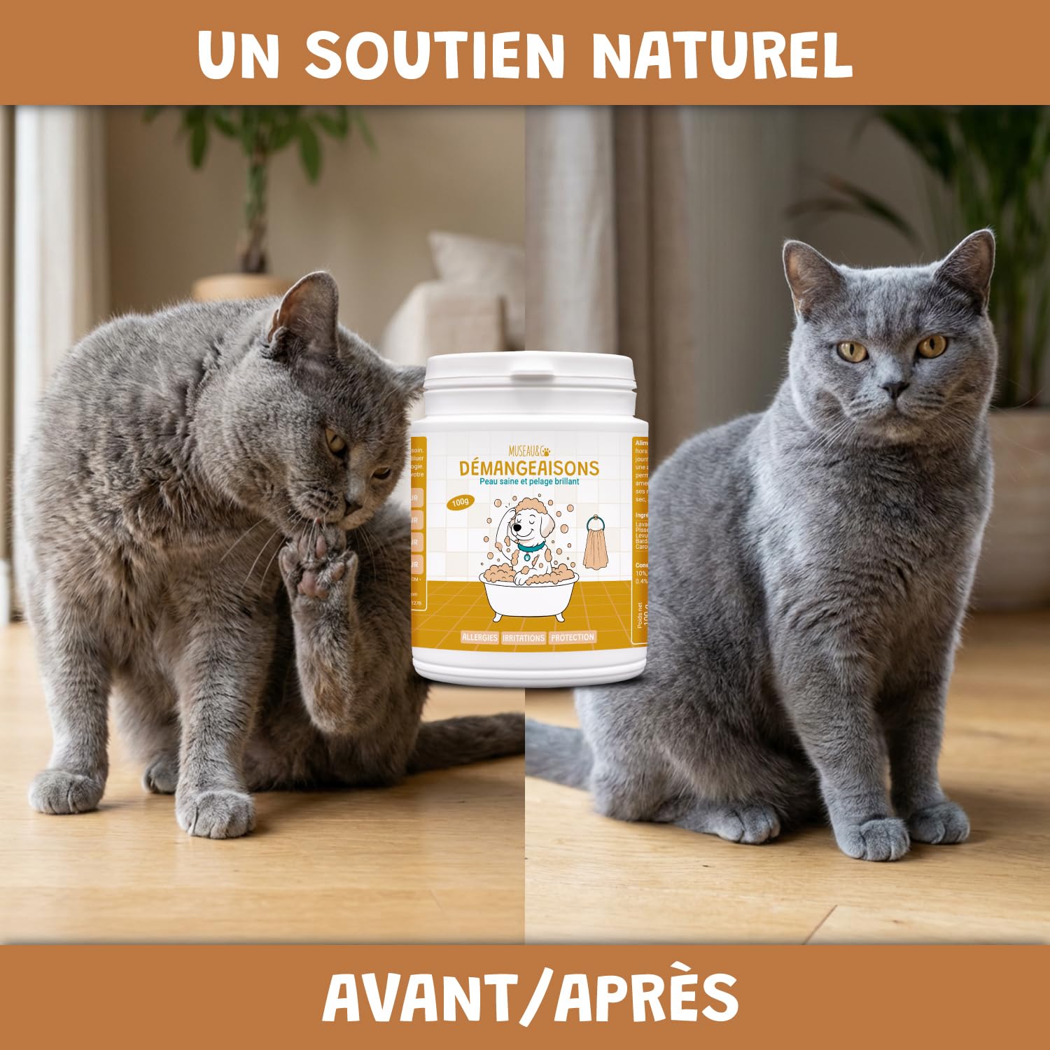 Démangeaisons Chien - Complément Alimentaire Anti-Grattage - Levure de Bière Bardane Pissenlit Lavande - Peau Saine & Pelage Apaisé - Formulé par des Vétérinaires - Fabriqué en France