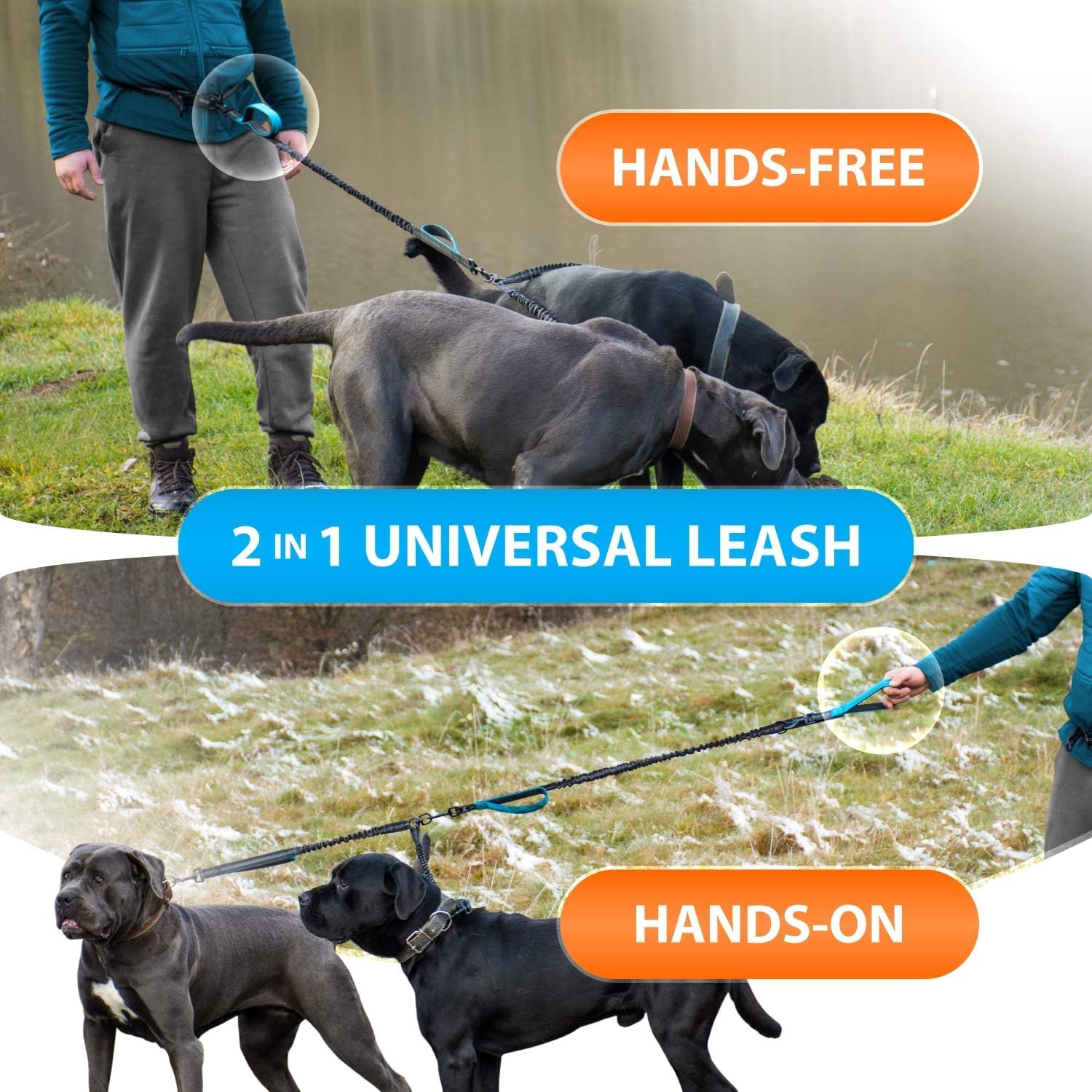 SparklyPets - Correa doble manos libres para perros hembras medianas y grandes - Asas acolchadas, costuras reflectantes, sin tirones, sin enredos, para caminar, senderismo, trotar, correa de cintura