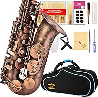 Vista 8 de Kit de cuidado para saxofón con 11 reeds, 8 para saxofón alto cojines, funda, Glory E Flat