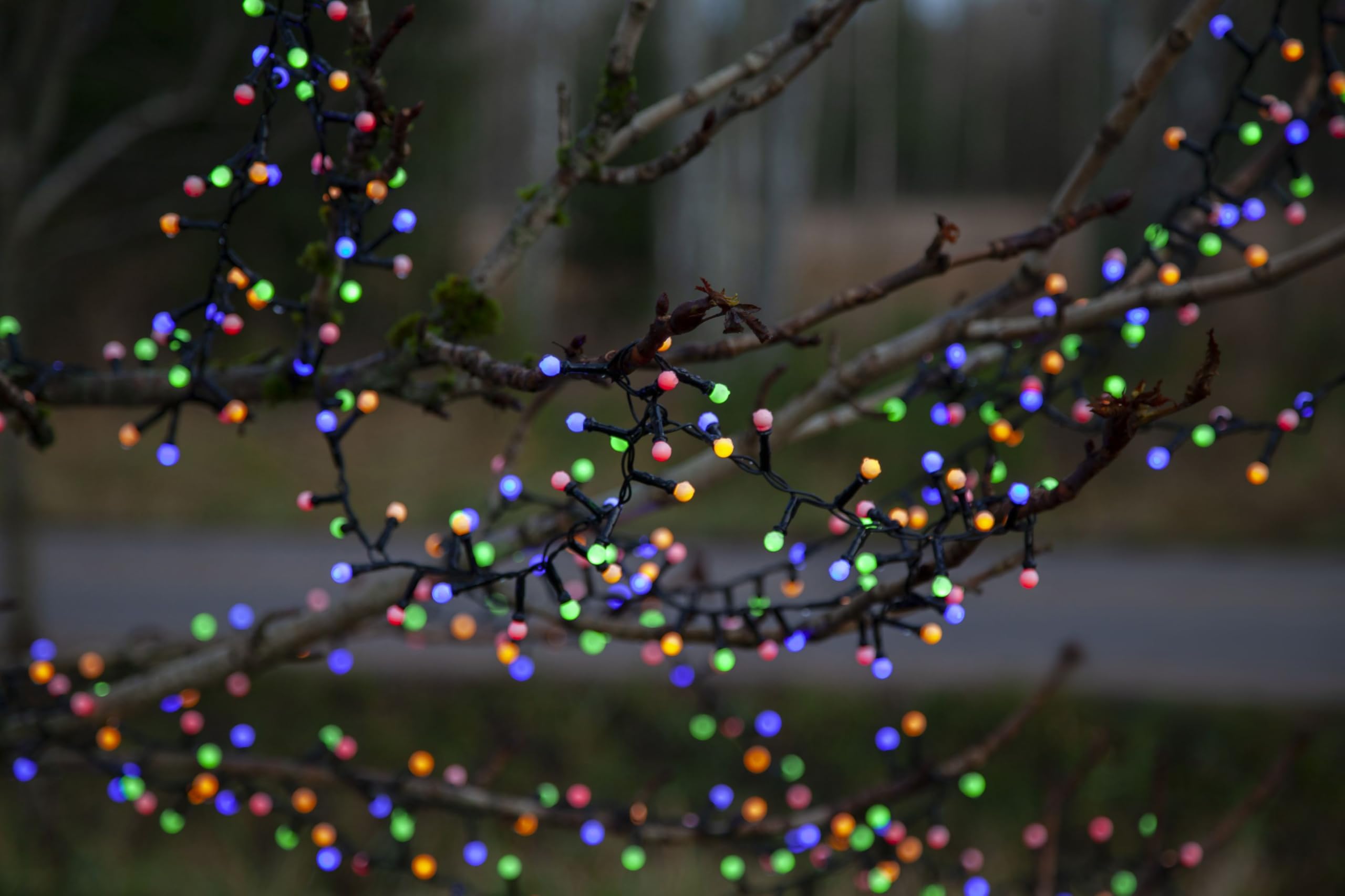 Star LED-Party-Kette 'Berry Mini', 700-tlg, Bunte LED,