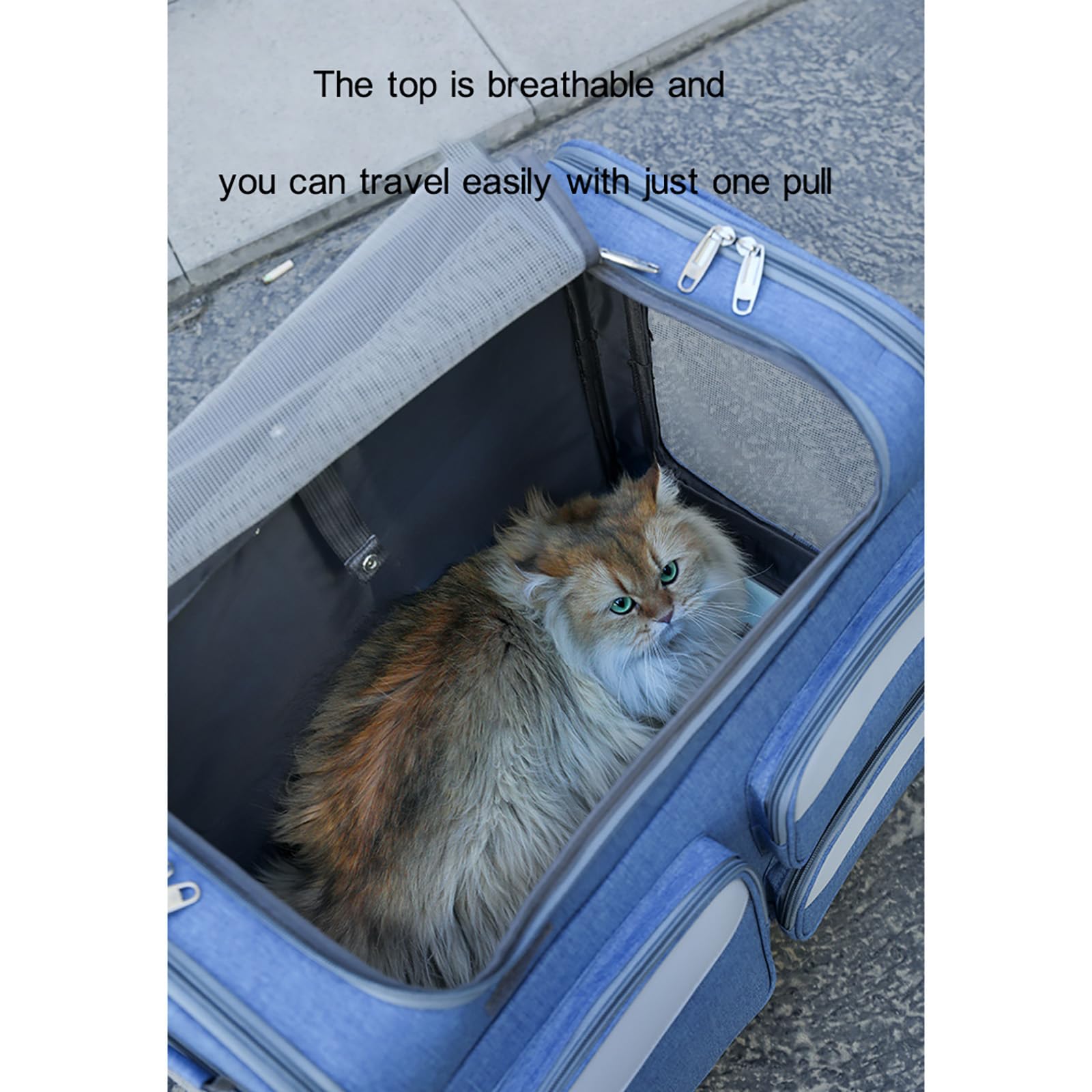 TransportíN para Gatos con Ruedas, Aprobado por AerolíNeas, con VentilacióN Multilateral Y Un Recipiente Plegable para Perros Y Gatos PequeñOs, Medianos Y Grandes. (Gray)