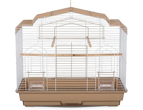 Best canary bird cage
