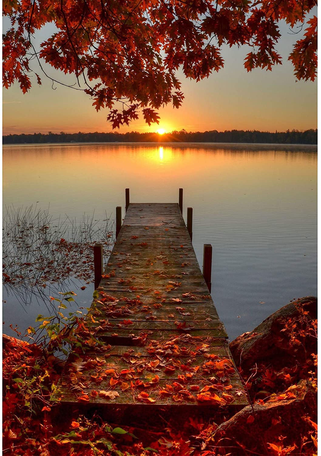 DIY 5D Diamond Painting Kit for Adult, 5D Painting Dots Kits Landscape, DIY Round Diamond Rhinestone Painting Kits Pictures Arts Craft for Home Wall Decor Gift, Best Gift - 12 X 16 inch (Red Leaves)