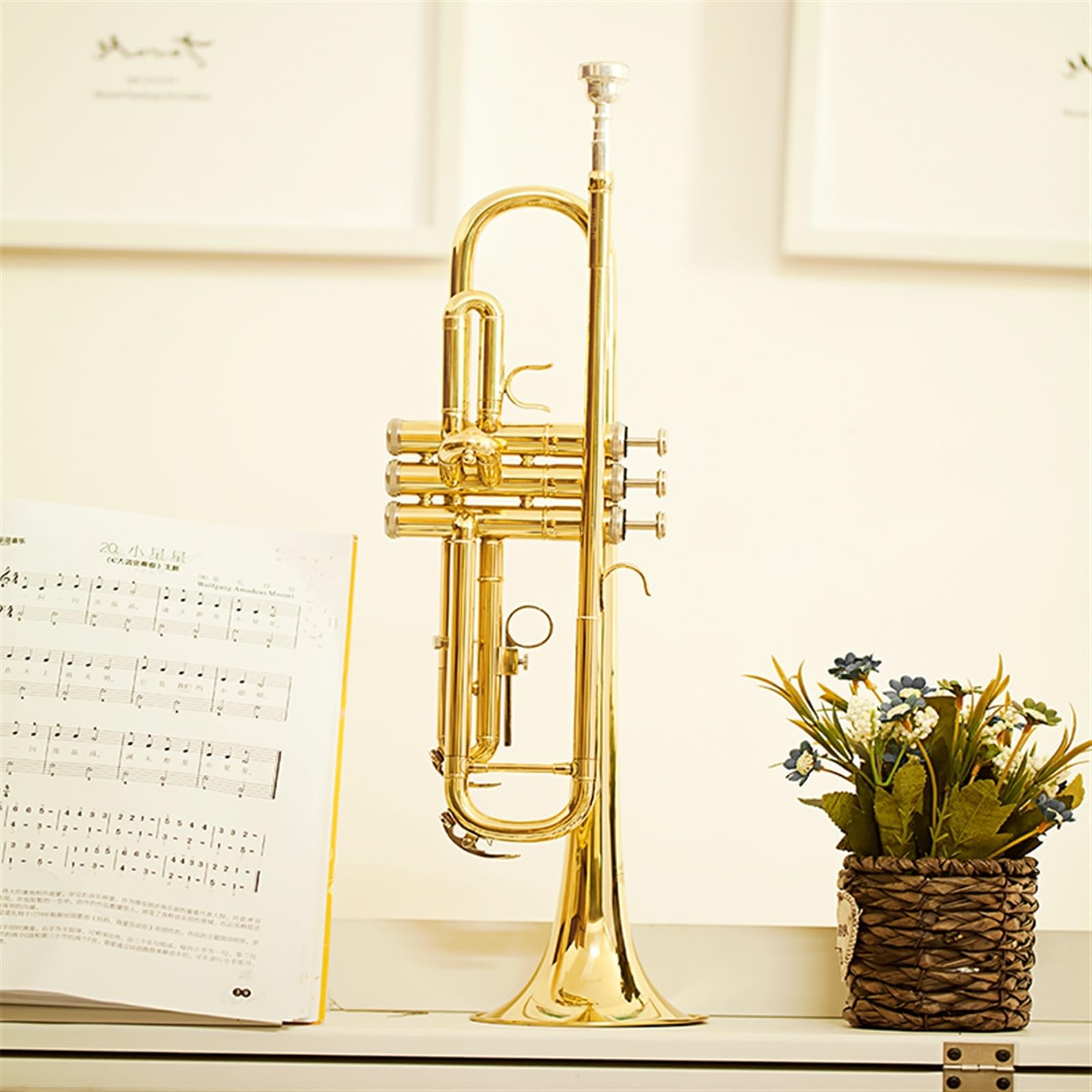 Standard Trompeten Trompeteninstrument B-Trompete Dreiton-Blasinstrument Anfänger Standard Messing Edelstahl