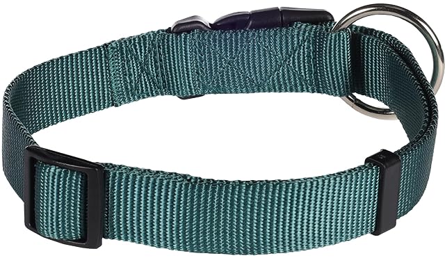 Foto 2 de 4 de Flamingo Collar ZIGGI Verde Oscuro L 45-65CM 25MM