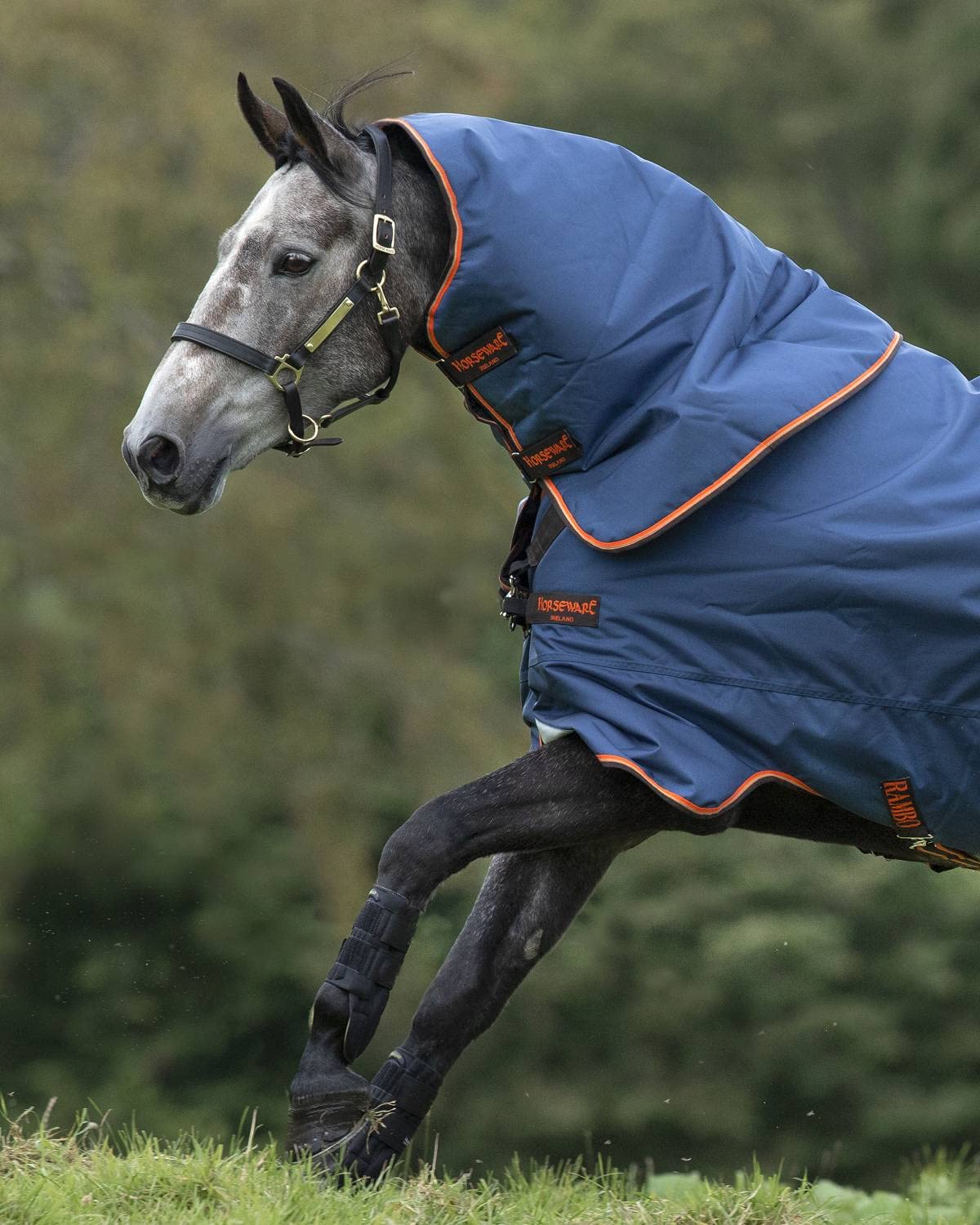 Rambo Duo Hood 50g Horseware Denim Orange en Taille S