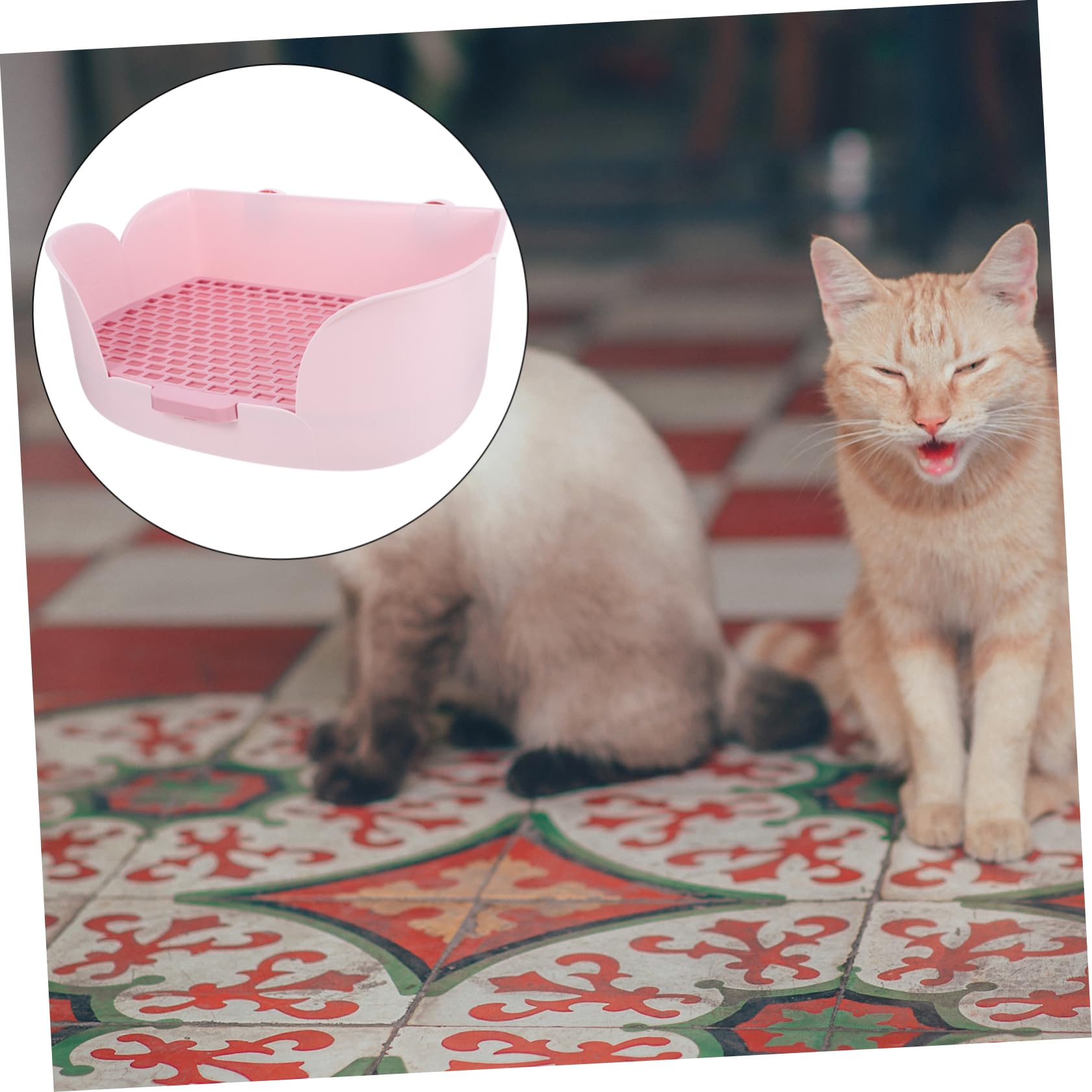 BESTonZON Lettiera per Animali per Conigli e Cavia Design Adatta e Ufficio per Addestramento e Comfort