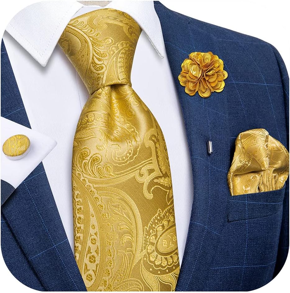 DiBanGu mens Tie Formal (pack of 5)