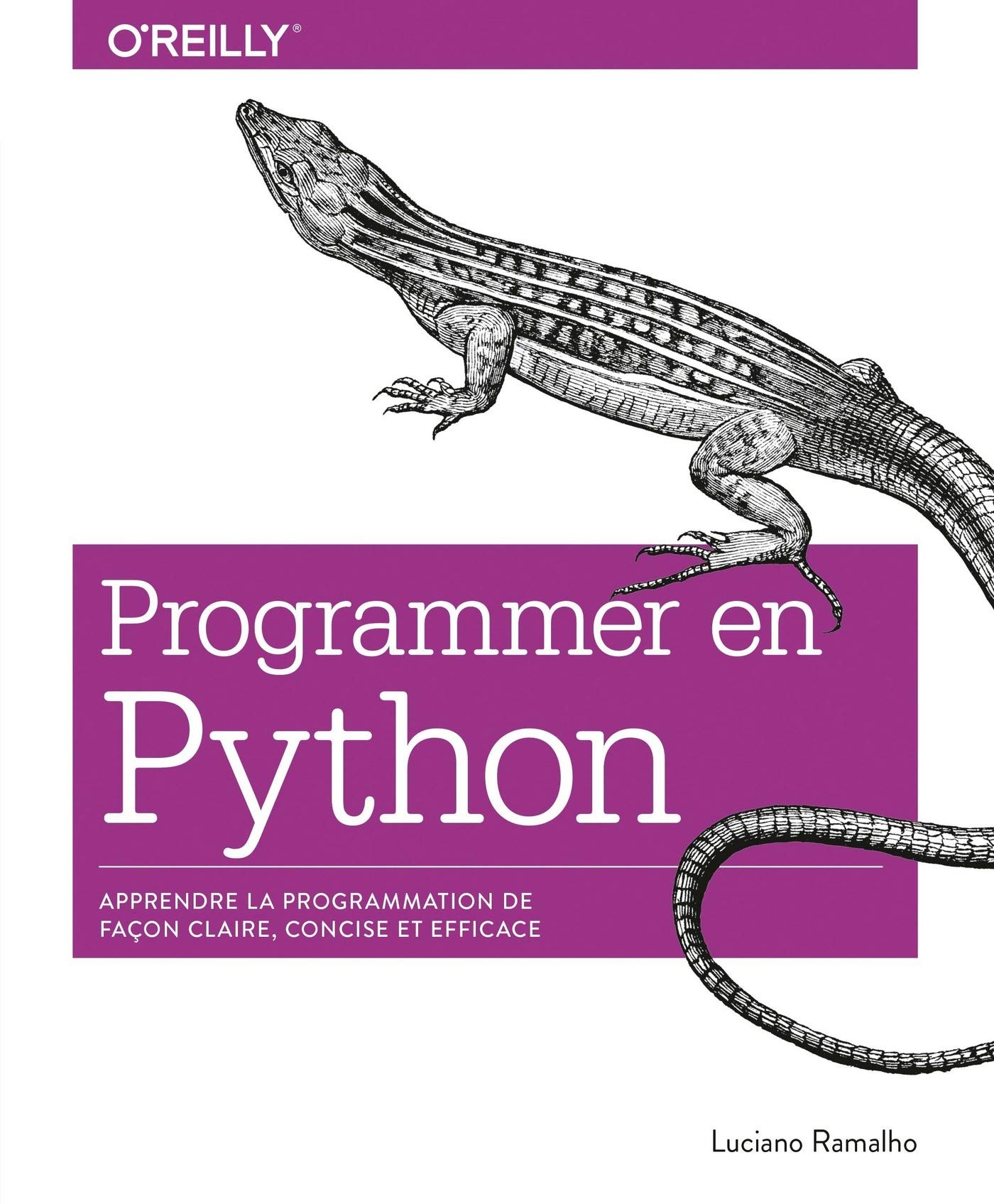 Programmer en Python: collection O'Reilly