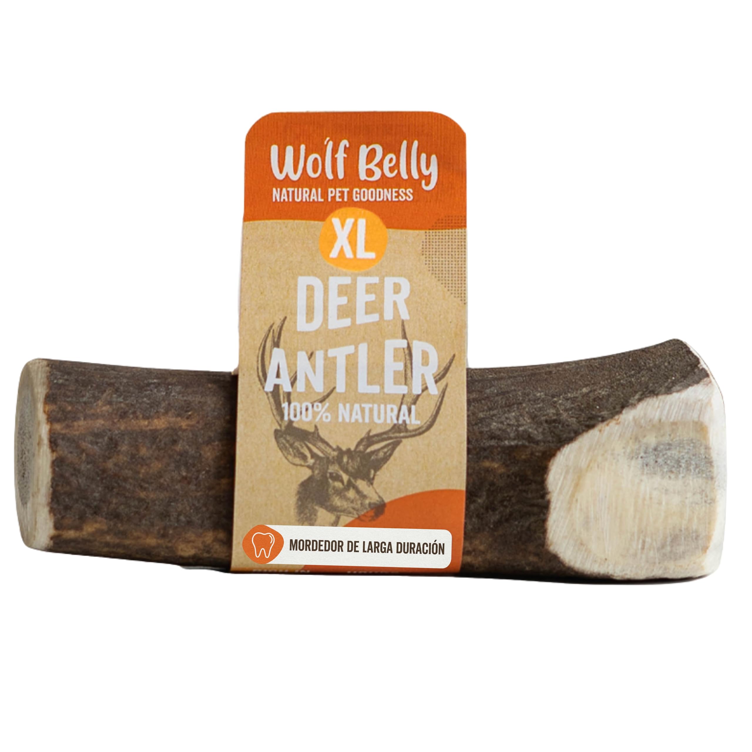 Wolf Belly - Asta de Ciervo para Perros 100% Natural (Talla XL) Mordedor Seguro y Duradero | Reduce Sarro y Placa | Rico en Calcio y Proteínas | Calma Estrés y Ansiedad | Sin Olor - Hecho en España