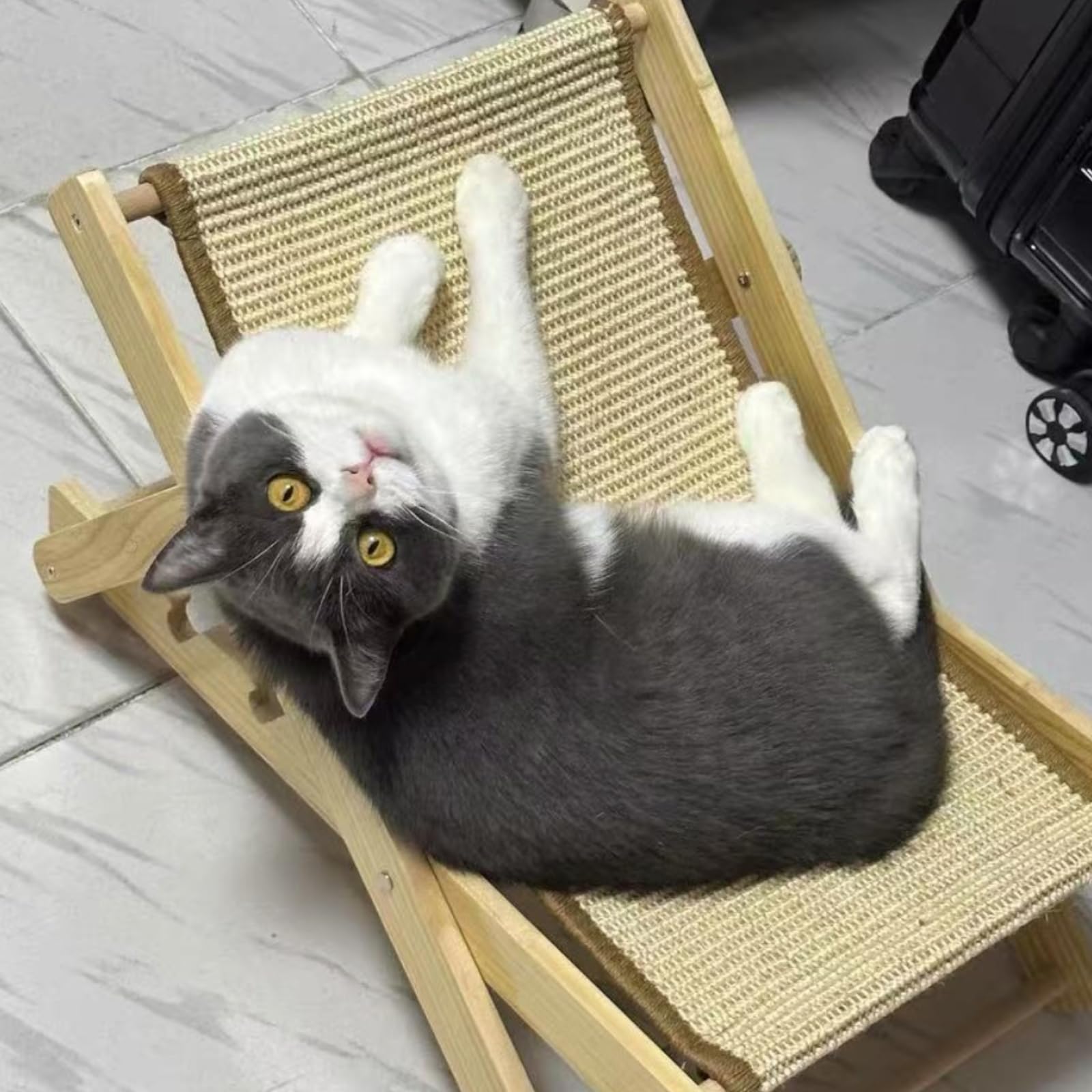 Cuccia Regolabile per Gatti, Poltrona per in Sisal, Amaca Pieghevole per Gatti, Capacità di Carico di 10 kg, Regolabile su 4 Livelli, per Cani di Piccola Taglia, Piccoli Animali