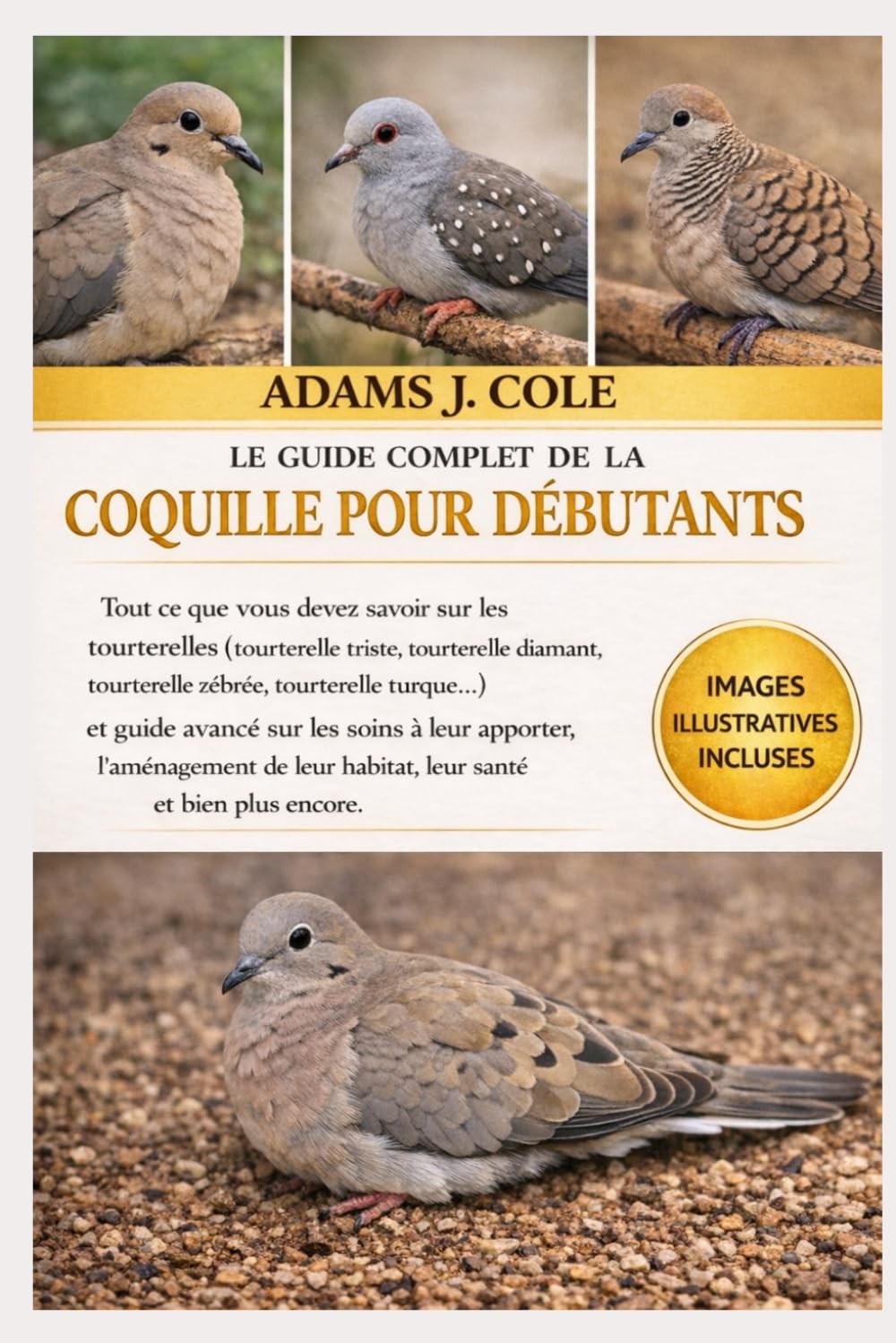 LE GUIDE COMPLET DE LA COQUILLE POUR DÉBUTANTS: Tout ce que vous devez savoir sur les tourterelles (tourterelle triste, tourterelle diamant, ... les soins à leur apporter, l’aménagement de