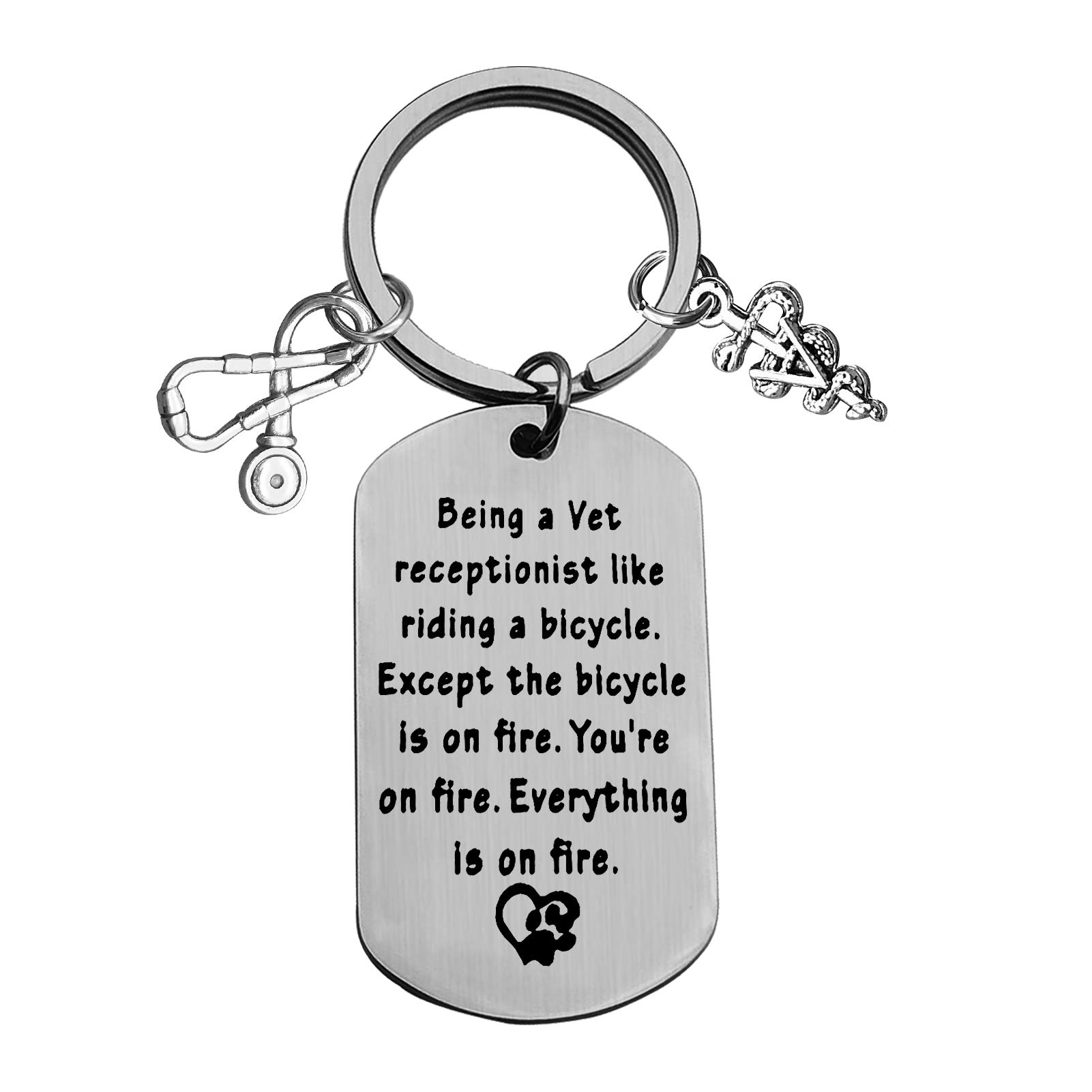 Baipilu Veterinary Keychain