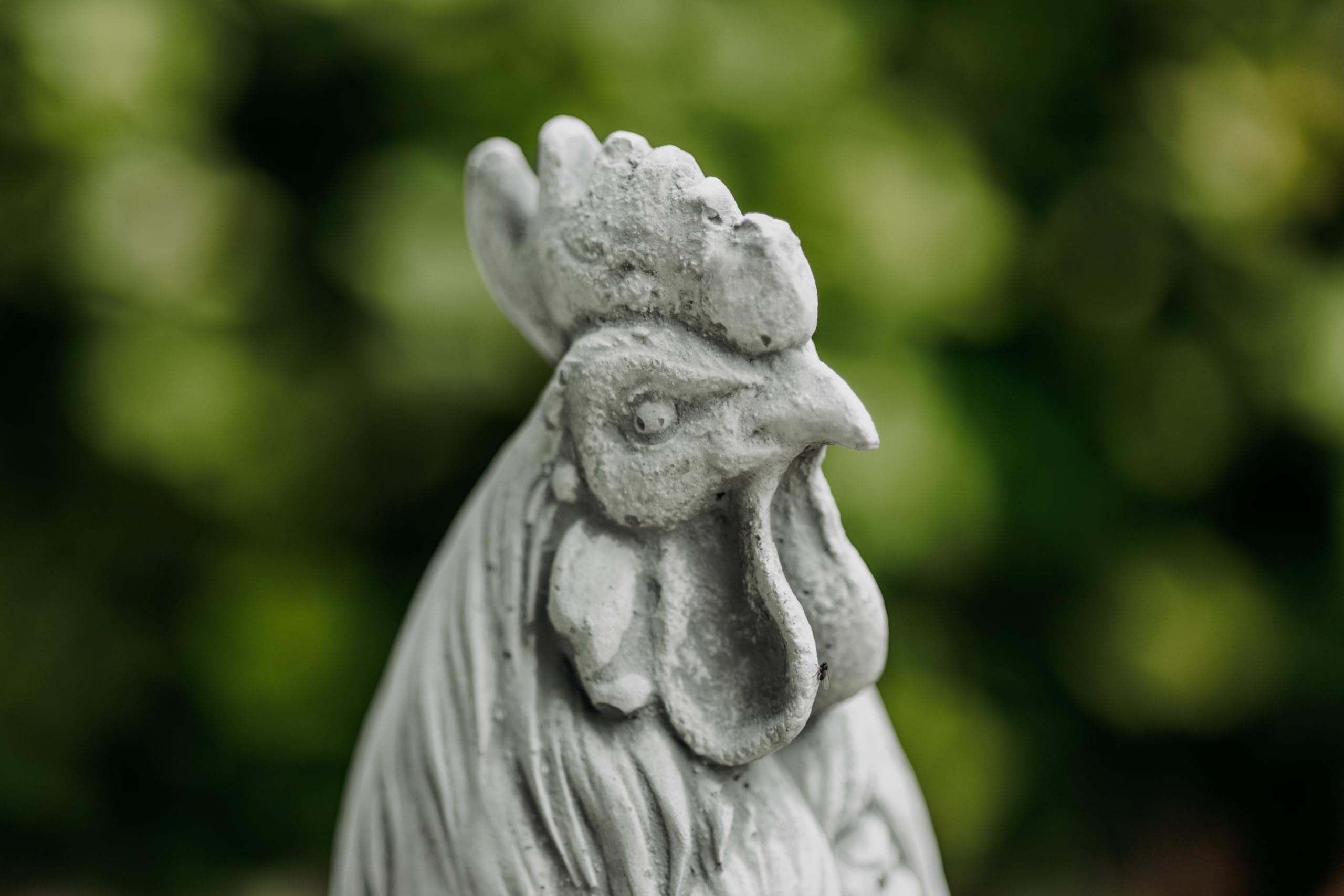 gartendekoparadies.de Masywna kamienna figurka Kogut domowy Ptak Gockel wykonany z odlewanego kamienia, mrozoodporna figurka zwierząt