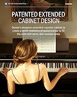 Vista 2 de Donner DDP-400 - Piano digital con teclado progresivo ponderado de 88 teclas, teclado de piano vertical premium para profesionales, paquete