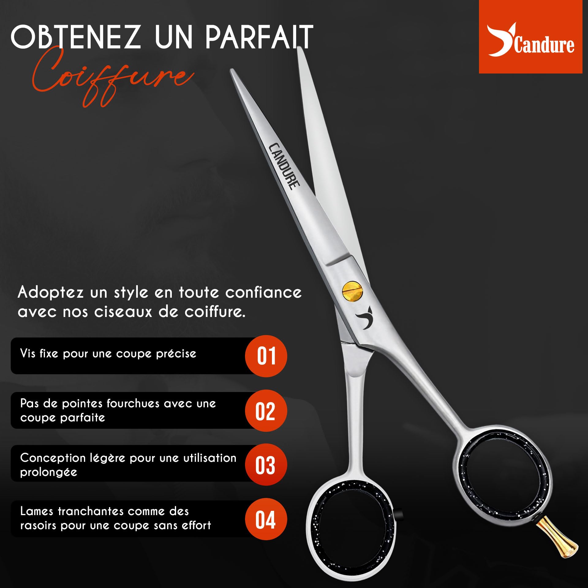 Ciseaux de coiffure professionnels Candure 6,5", ciseaux de coiffure de salon avec peigne et étui, kit de ciseaux de coiffure en acier inoxydable pour hommes et femmes (argent et or)