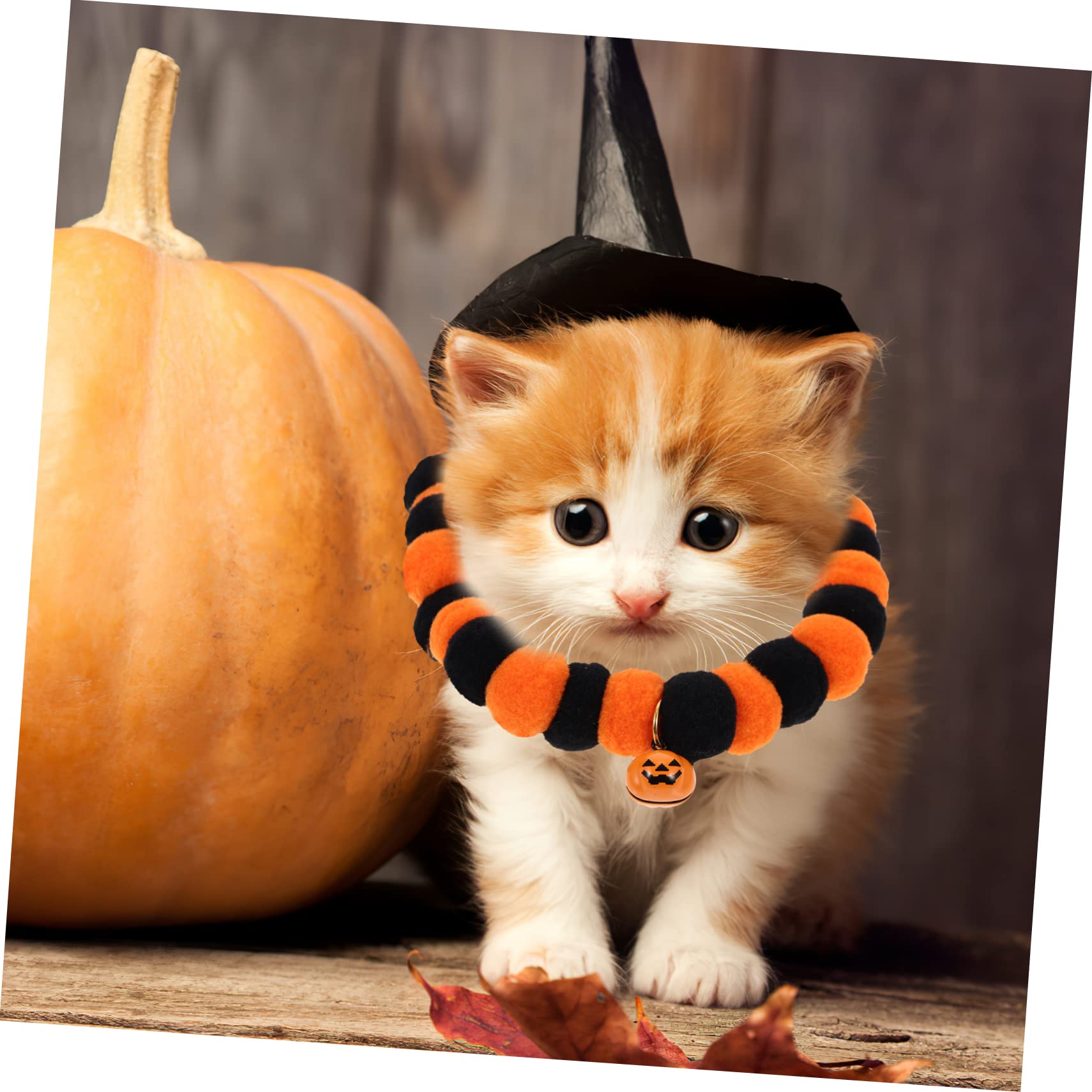 Sosoport 10stücke Verstellbares Katzenhalsband Mit Glöckchen Und Kürbisdesign Waschbar Für Halloween-Partys Geeignet Komfortabel Und Hautfreundlich Für Katzen Und Kleine Hunde