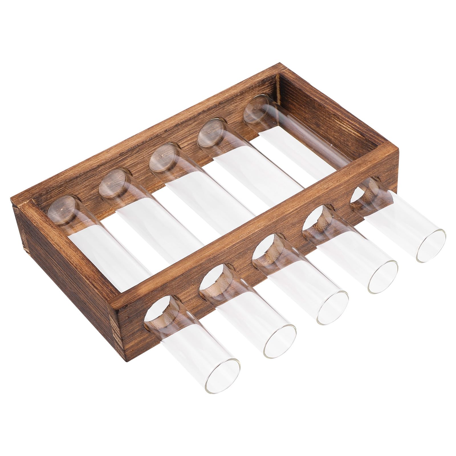 Jarrón para plantas de agua decorativo para estanterías y mesas de salón