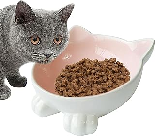 Tigela de cerâmica para gatos – Tigelas elevadas antivômitos, tigela inclinada para comida de gato | Pratos adequados para gatos para proteger a coluna, tigelas de ração para gatos em ambientes fechados, cães pequenos Aviere