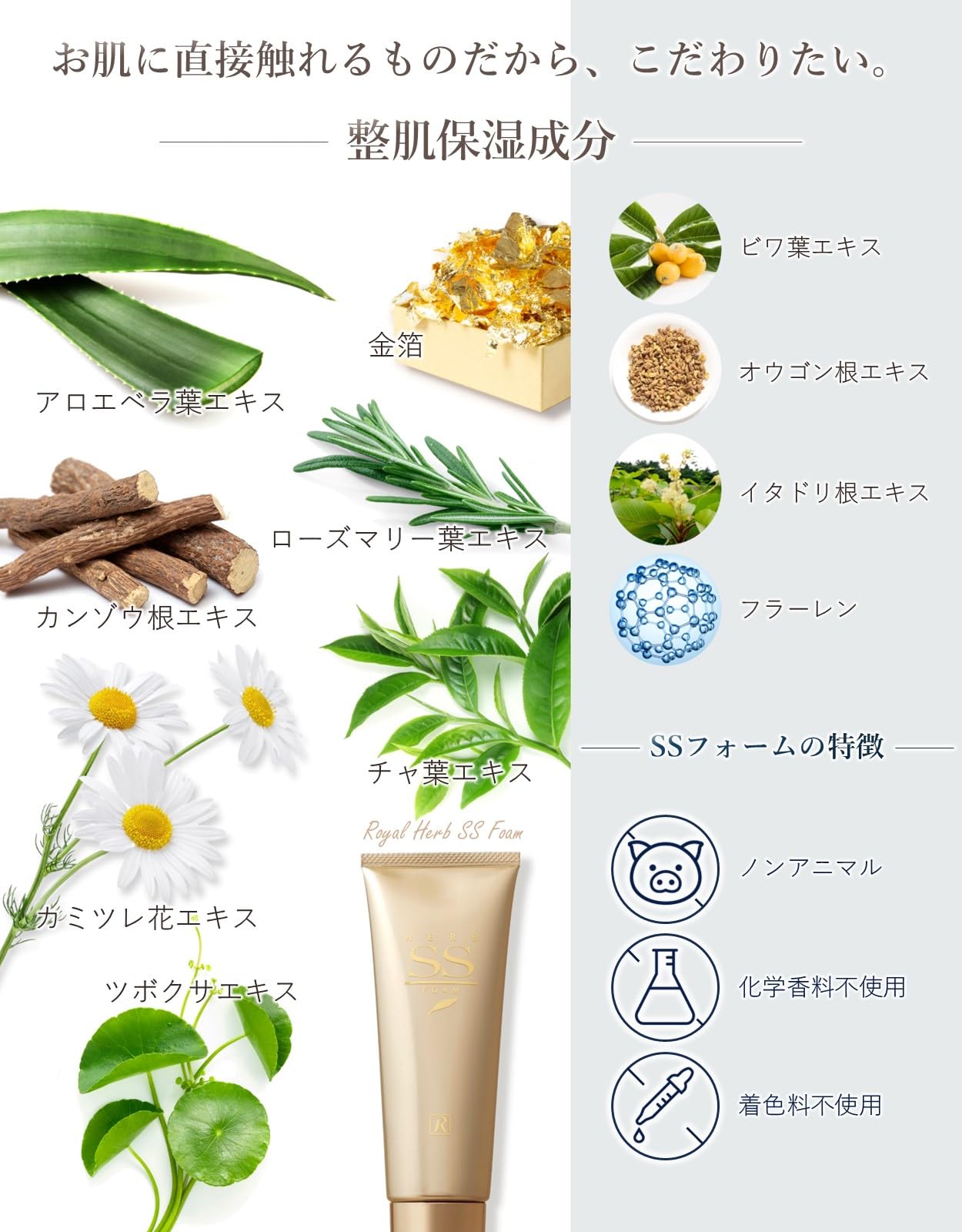 Amazon | ロイヤル化粧品 ロイヤルハーブ SSフォーム 120g 洗顔料 純 