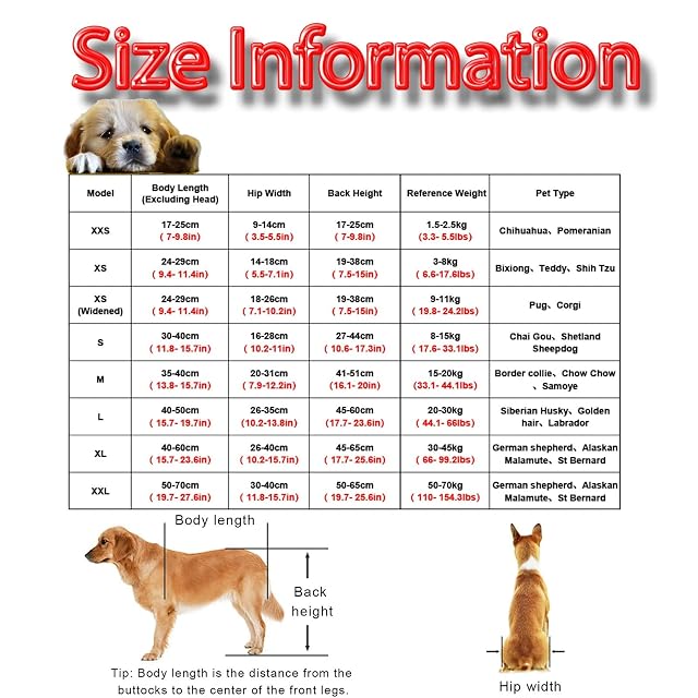 Foto 3 de 5 de Silla de ruedas para perros y gatos XL XXL silla de ruedas para perros grandes piernas traseras