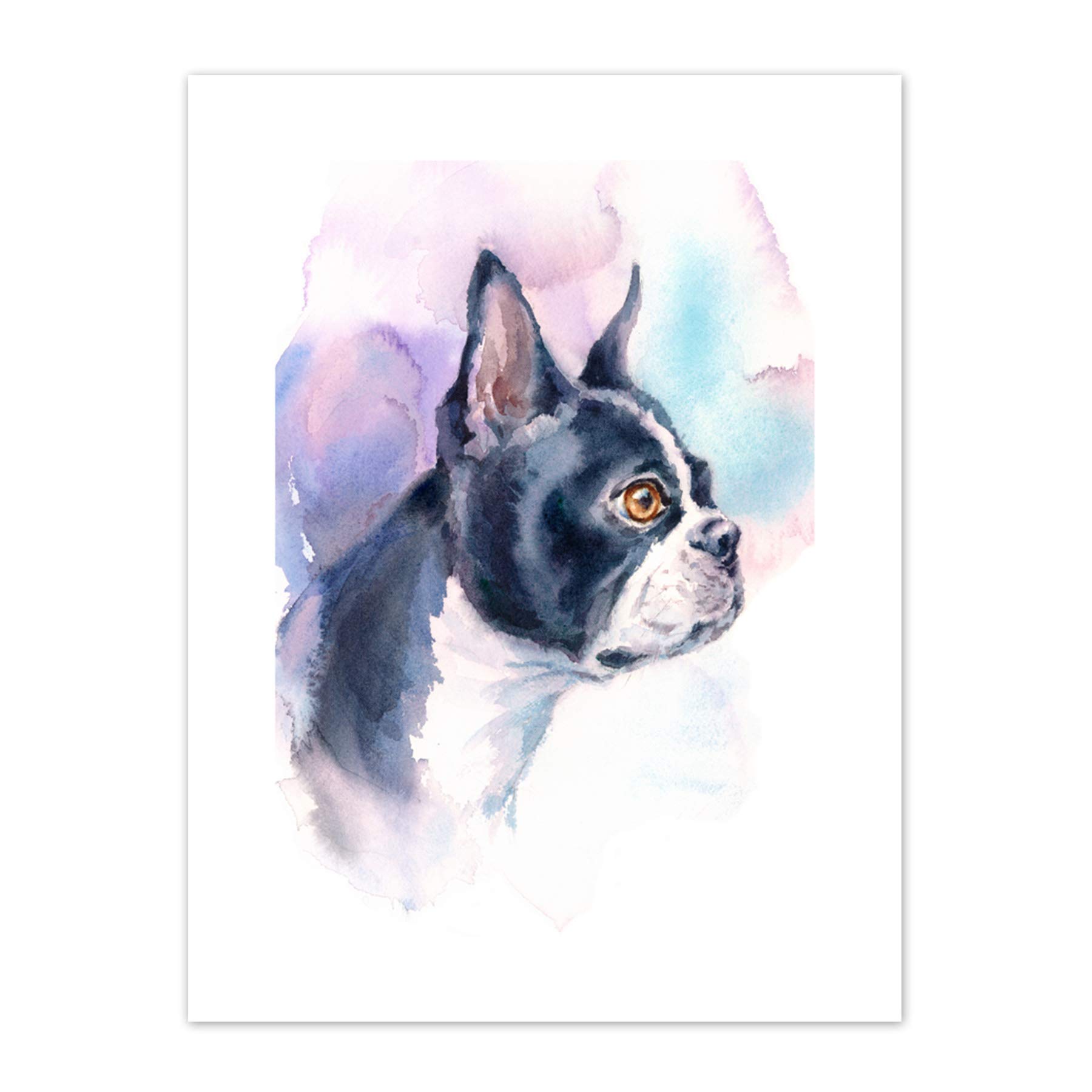 Wee Blue Coo Dog Boston Terrier Watercolour Art Print Canvas Premium Wall Decor Poster