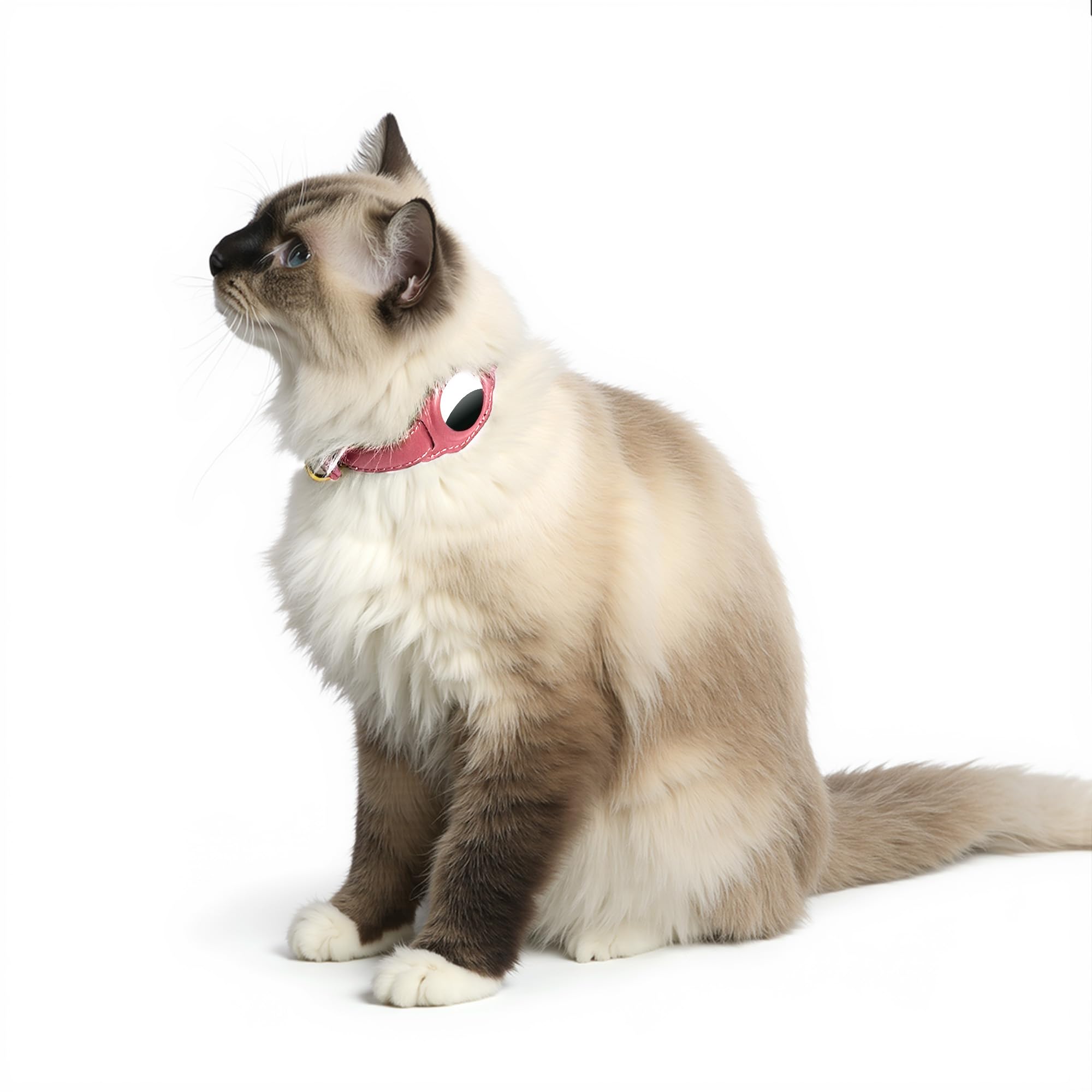 AirTag Katzenhalsband mit Glöckchen und Stofffutter, Haustierhalsband, Leder, nicht abreißbar, mit AirTag-Halter, GPS-Katzenhalsbänder für Jungen, Katzen, Mädchen, Katzen (Rosa)