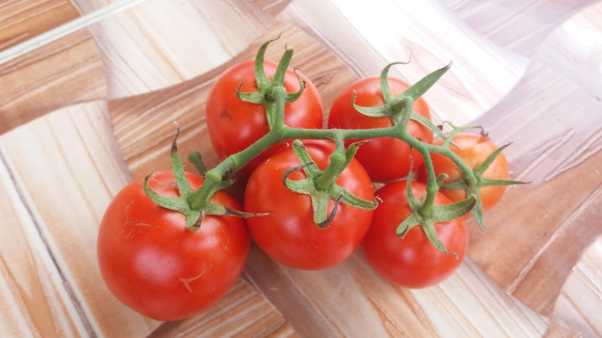 View 7