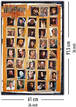 Harry Potter and the Deathly Hallows - Characters Poster 24 x 36 inches
