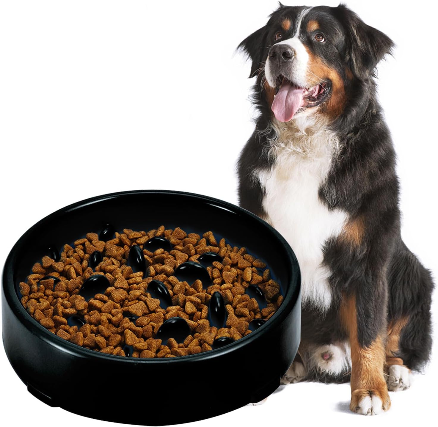 Ciotola Per Cani Antiscivolo Dogit, Blu, Senza BPA, Capacità 300 Ml, Lavabile In Lavastoviglie