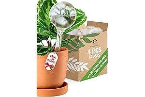 Automatic Self Watering Plant Bulbs