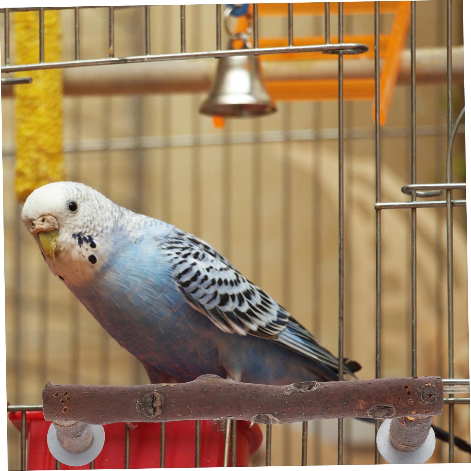 BESPORTBLE 5piezas Perchero De Madera para Aves Percha Natural para Jaula De Periquitos y Loros Juguete Interactivo para Entrenamiento y Ejercicio De Aves Mediano