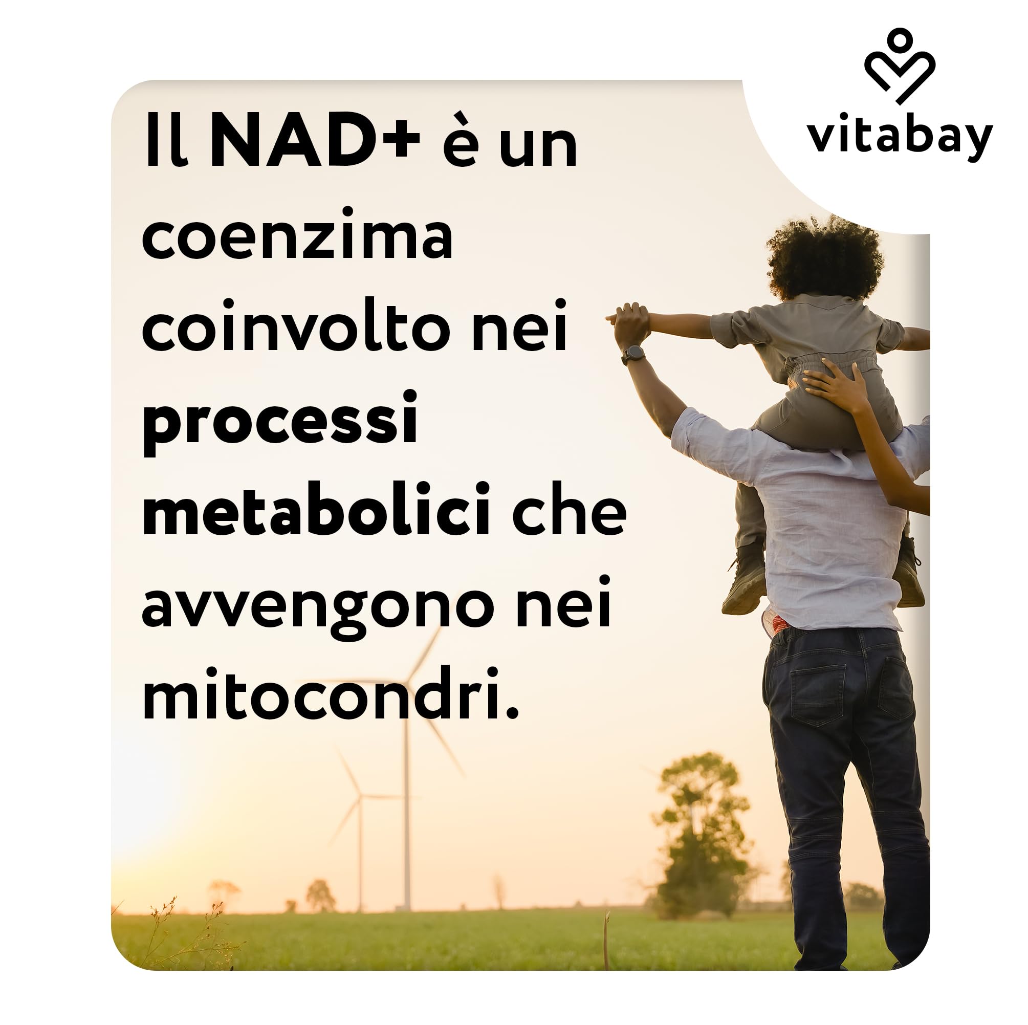 Vitabay NAD+ liposomiale 1000 mg con trans-resveratrolo 600 mg - 90 softgel vegane - alto dosaggio, vegano, testato in laboratorio in Germania - integratore NAD - senza OGM - 45 giorni