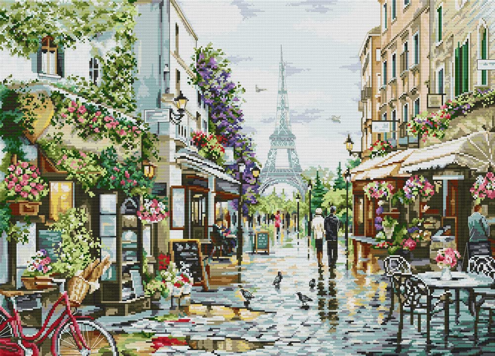 Awesocrafts Street Cross Stitch Stamped Kits Paris Scene Easy Patterns Cross Stitching Embroidery Needlework Kit Supplies 14Ct 2 Strands (Street)