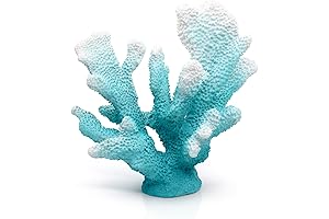 Accessoryway Turquoise Shades Coral Reef Decor