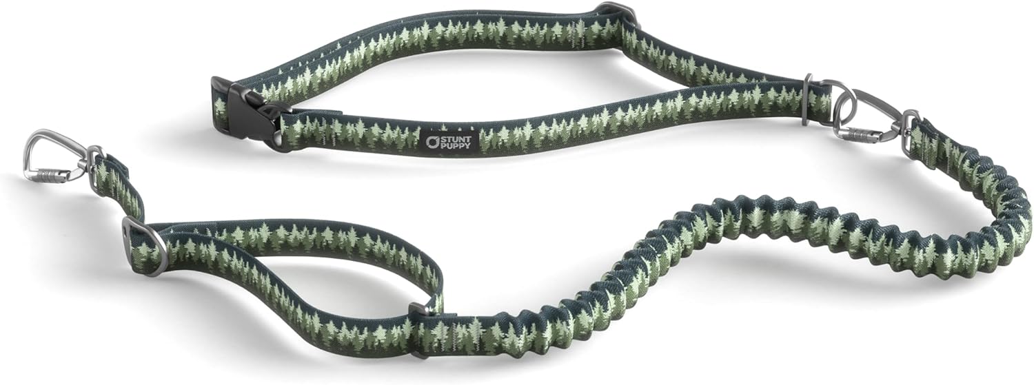 Stunt Puppy Stunt Runner Hands-Free Dog Leash, Pines Green
