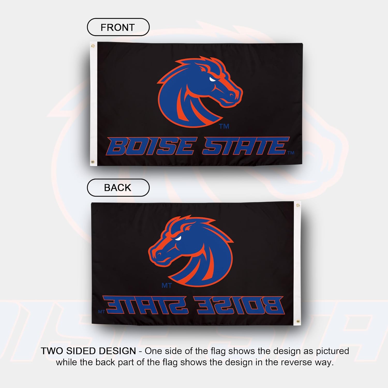 Desert Cactus Boise State University BSU Flag - 3 x 5 Feet Broncos Banner, Indoor/Outdoor Durable Fabric, 100% Polyester Design (Style B)