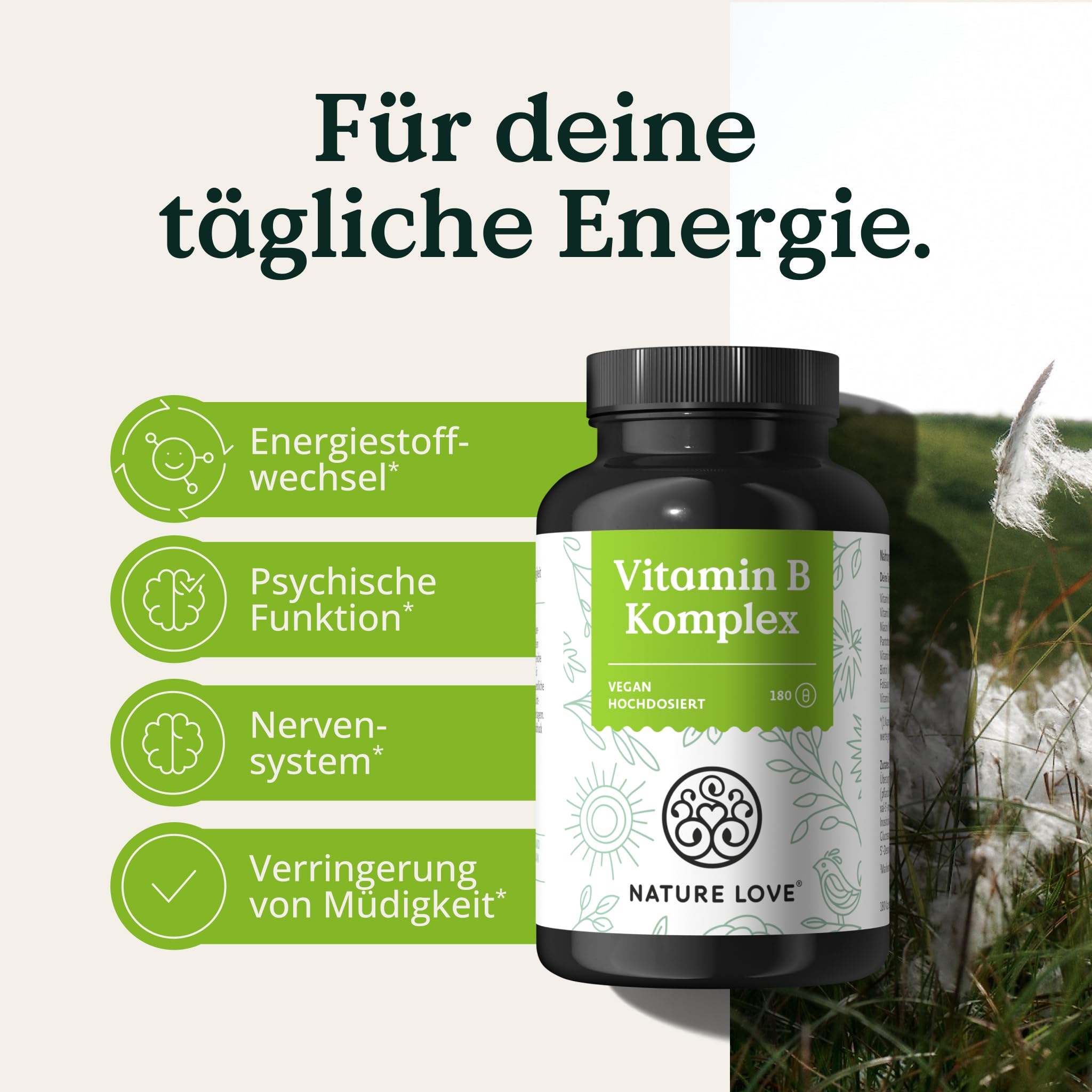 NATURE LOVE® Vitamin B Komplex – Hochdosiert: Mit 500 µg Vitamin B12 – 180 Kapseln (6 Monate) – alle 8 B-Vitamine (B1, B2, B3, B5, B6, B7, B9, B12) – vegan, laborgeprüft und in Deutschland produziert
