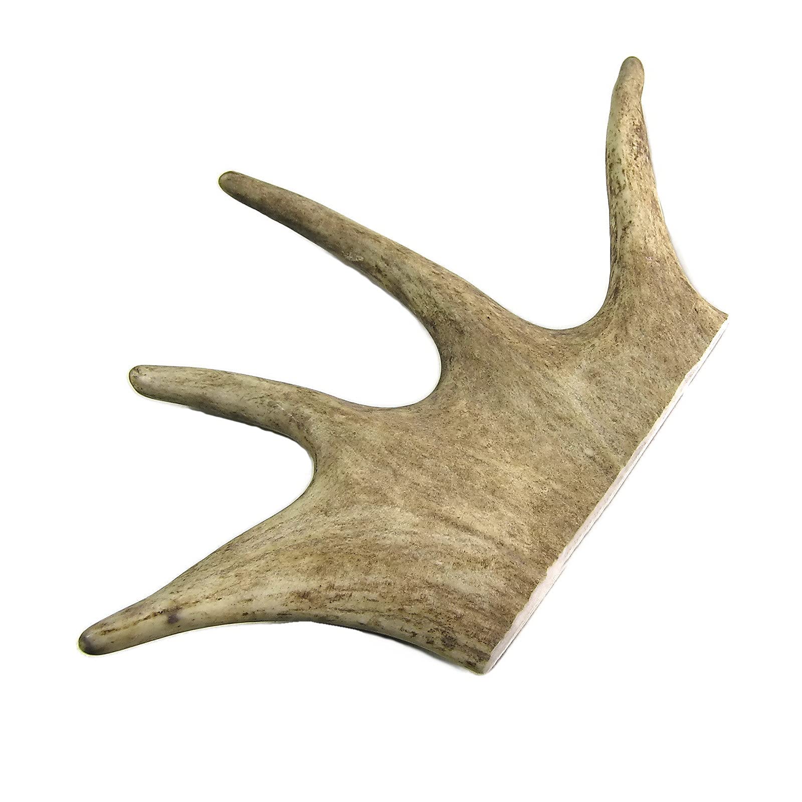 Corno Di Daino Naturale Per Cani - Snack Da Masticare 100% Naturale, Peso 150gr - Foto 4