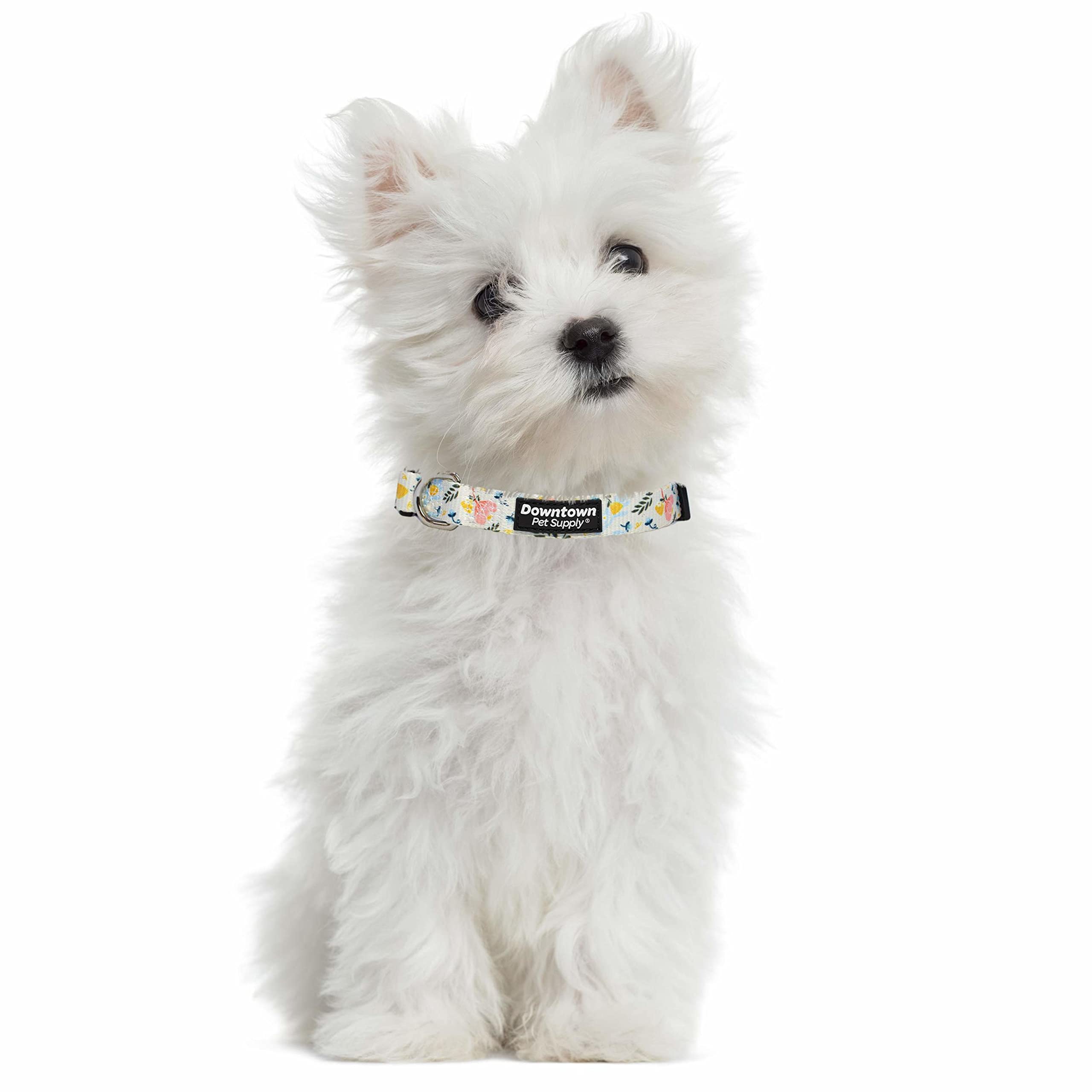 Downtown Pet Supply Niedliches und schickes gedrucktes Muster, weiches Hunde- und Welpenhalsband für kleine, mittelgroße und große Hunde (floral, klein)