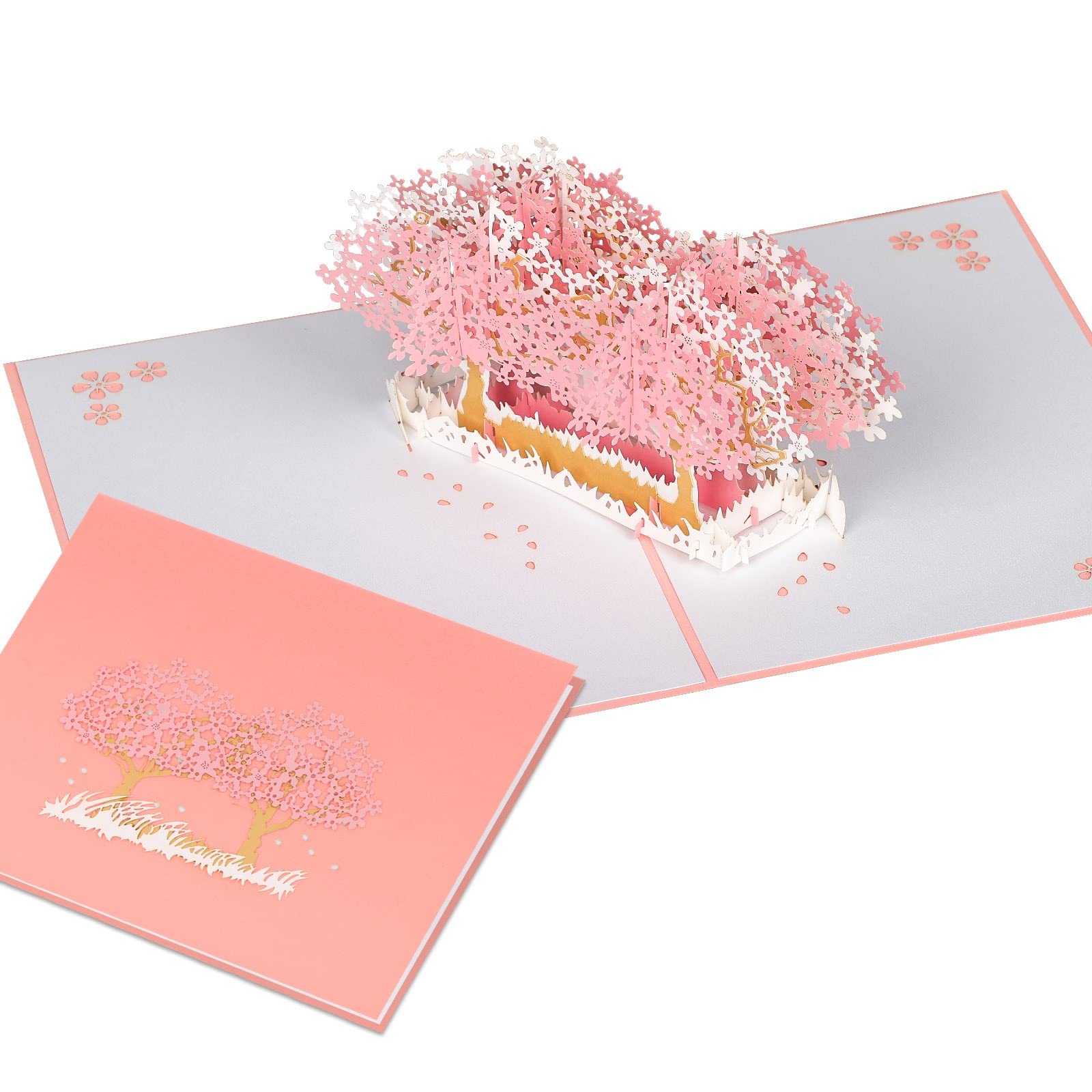 Bavmav pop up cards, The Falling Petals Are Like A colorful Shower pop up card, Fresh and simple style, Suitable for all occasions, With Envelope and Note 6" x 8"