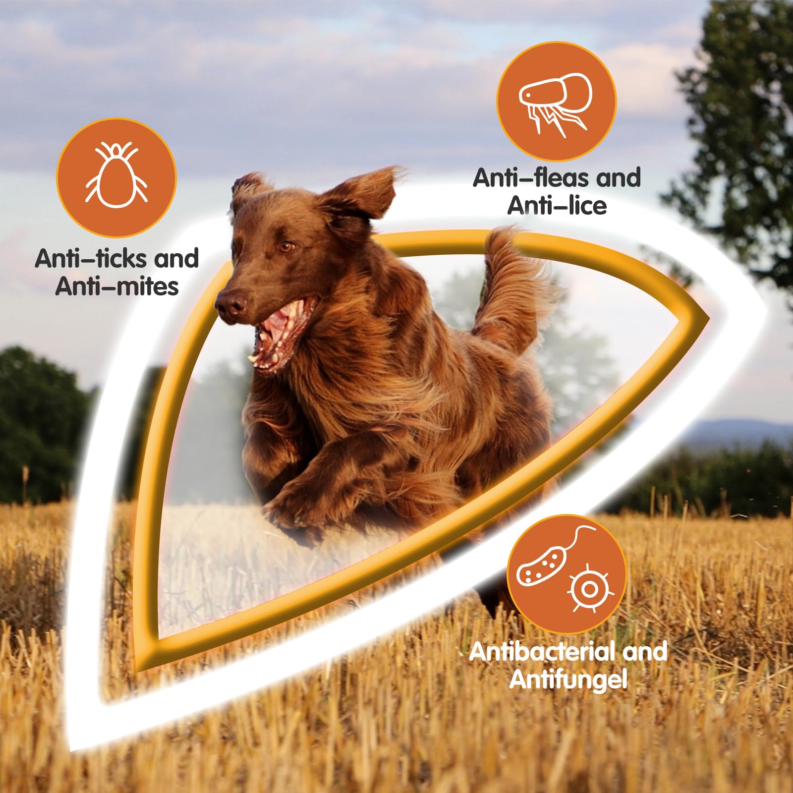 Nobleza Shampoo per Cani Contro Prurito, Acari e Pulci,Shampoo Gatto Naturale con Estratto di Citronella,Shampoo Cane Dermatite Calma la Pelle,Shampoo Cuccioli,Sicuro e Non irritante(500ml)